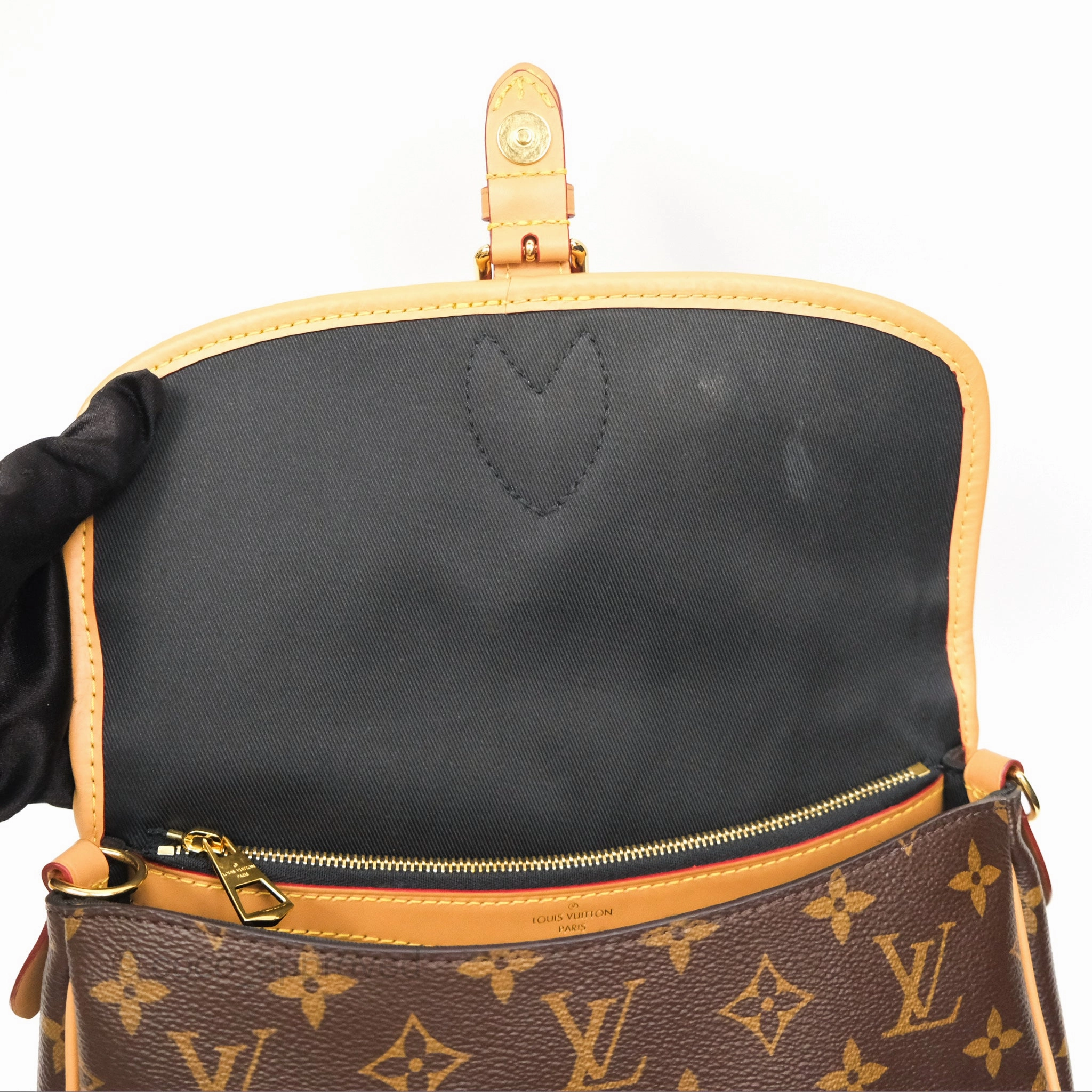 Louis Vuitton Diane Bag Monogram Canvas with Jacquard Strap
