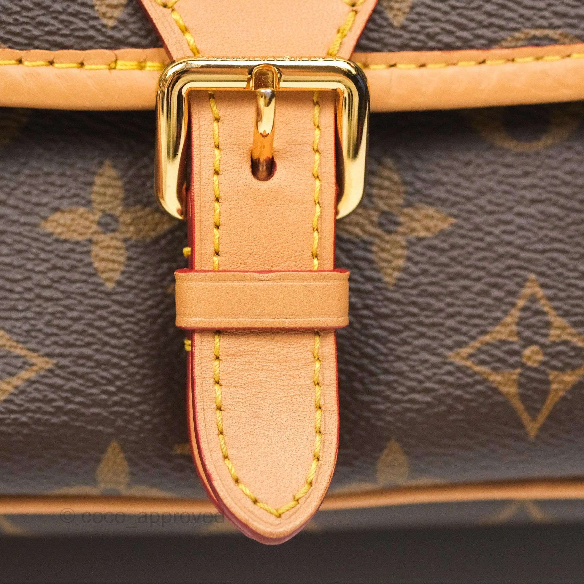 Louis Vuitton Diane Bag Monogram Canvas with Jacquard Strap