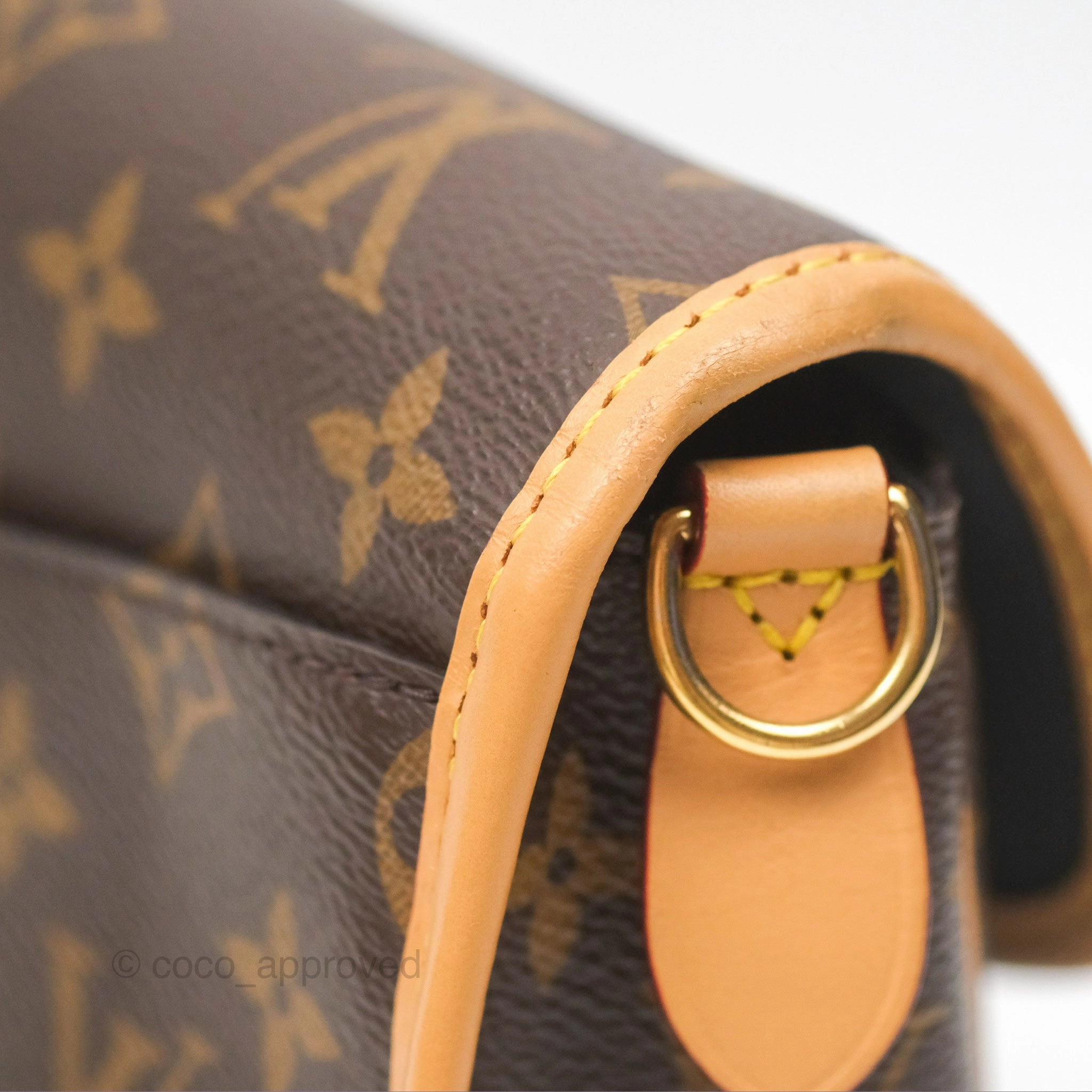 Louis Vuitton Diane Bag Monogram Canvas with Jacquard Strap