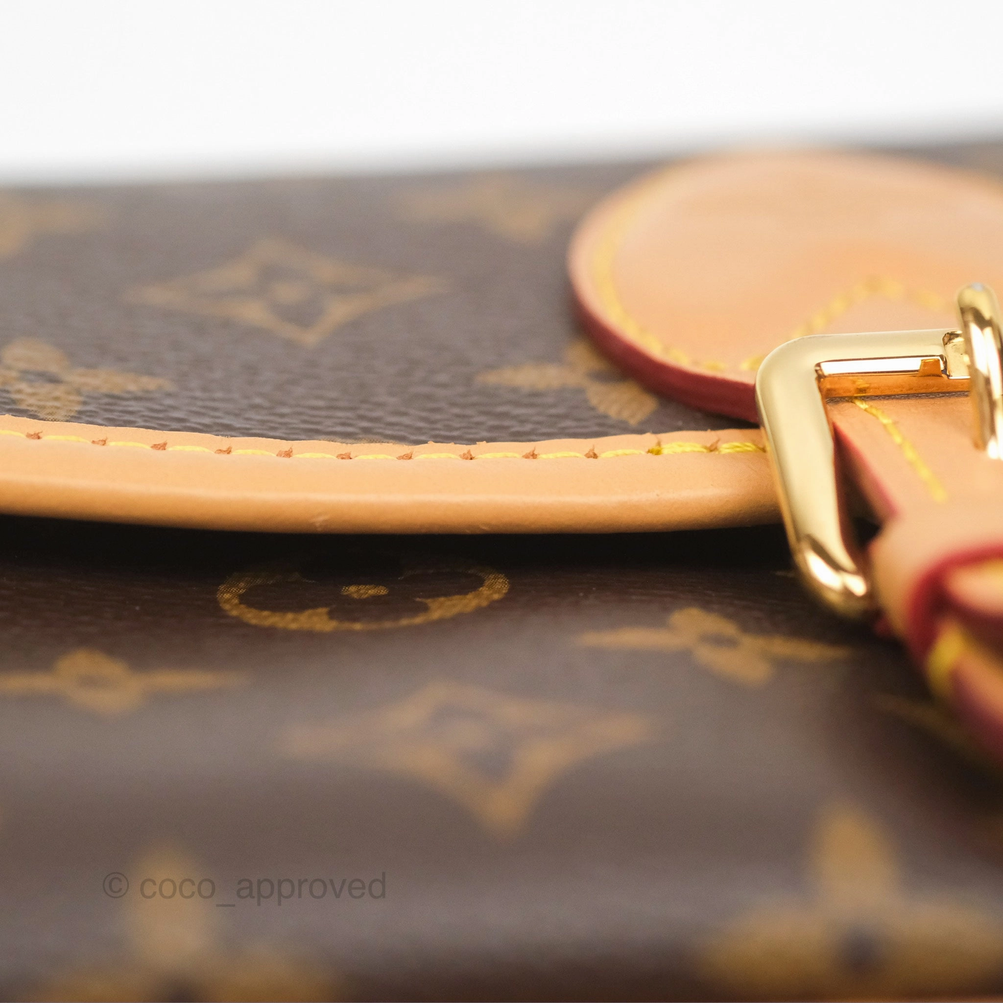 Louis Vuitton Diane Bag Monogram Canvas with Jacquard Strap