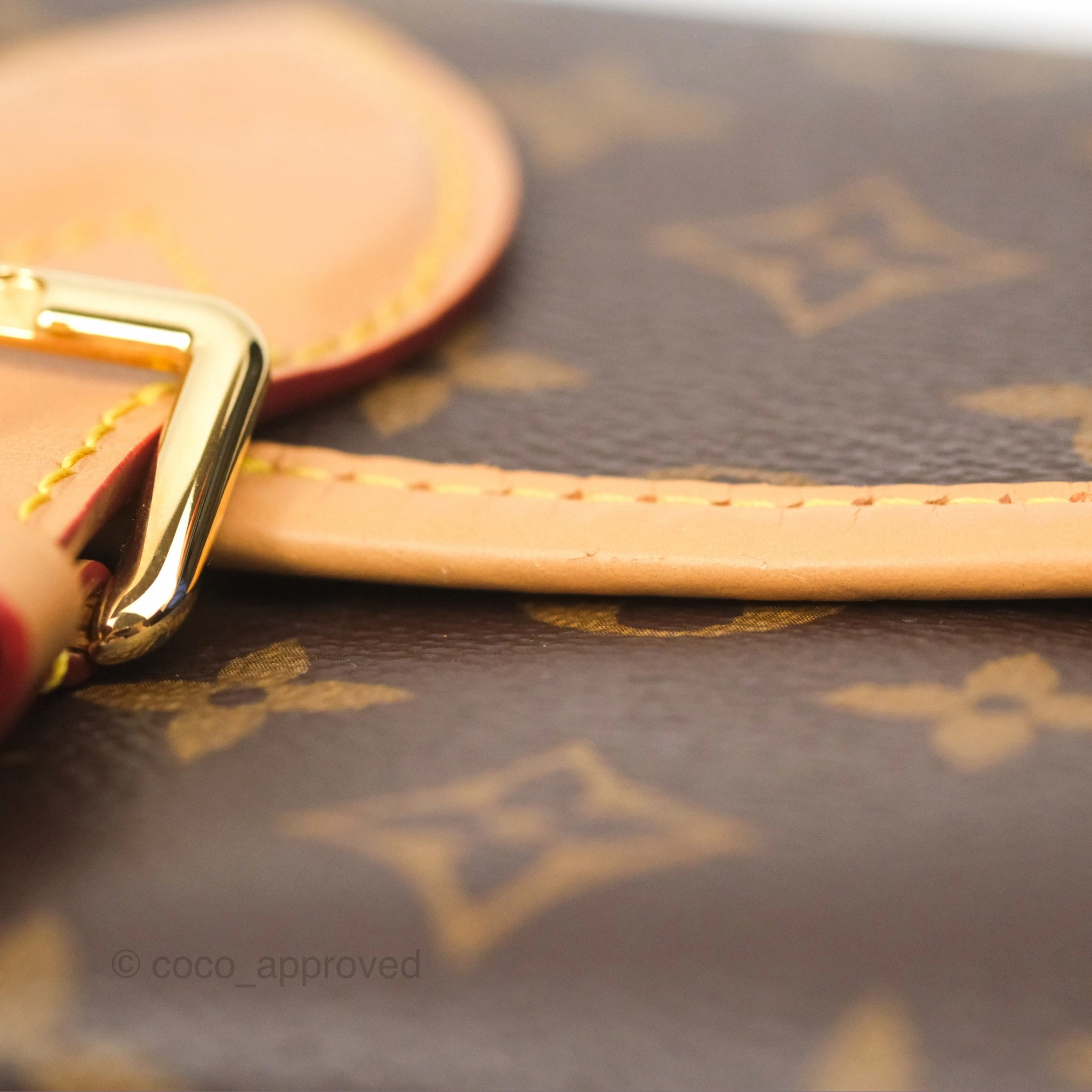 Louis Vuitton Diane Bag Monogram Canvas with Jacquard Strap
