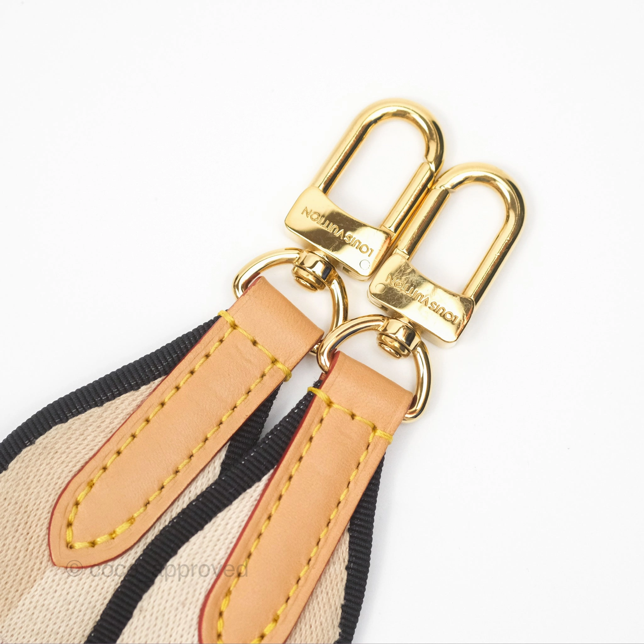 Louis Vuitton Diane Bag Monogram Canvas with Jacquard Strap