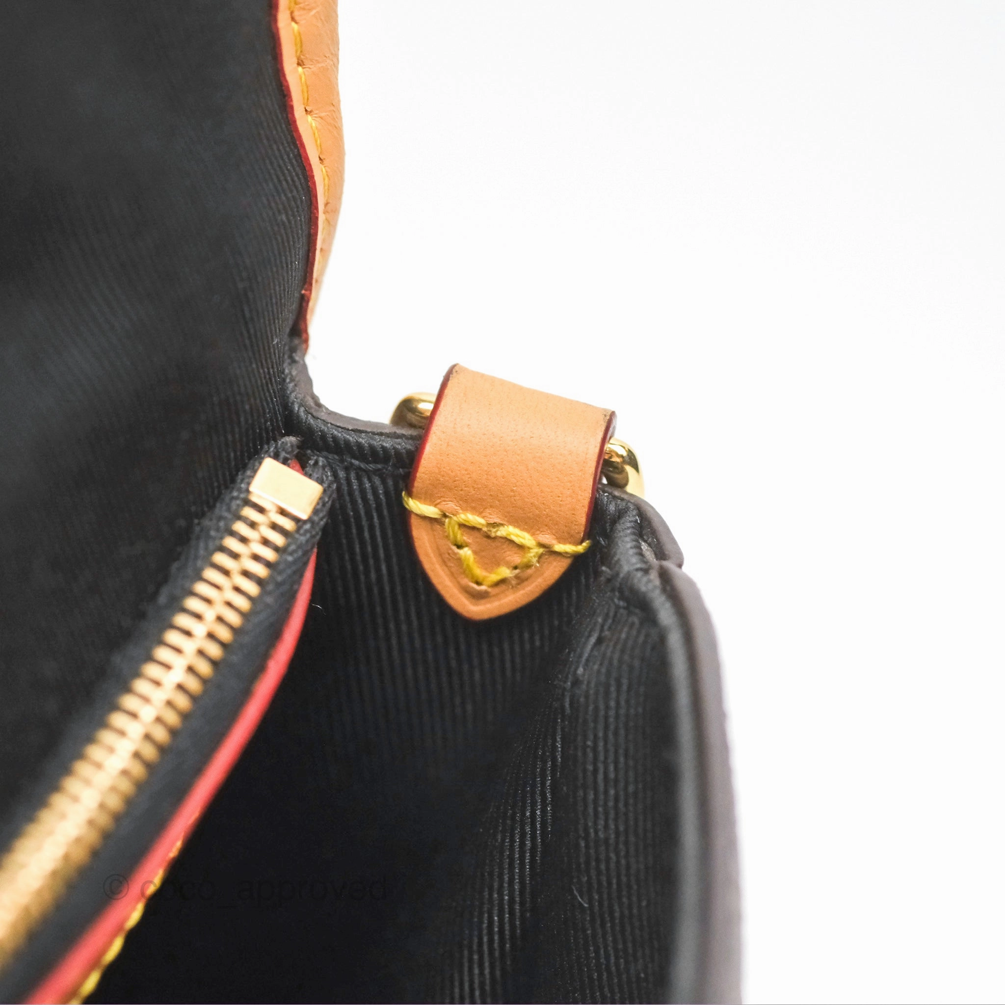 Louis Vuitton Diane Bag Monogram Canvas with Jacquard Strap