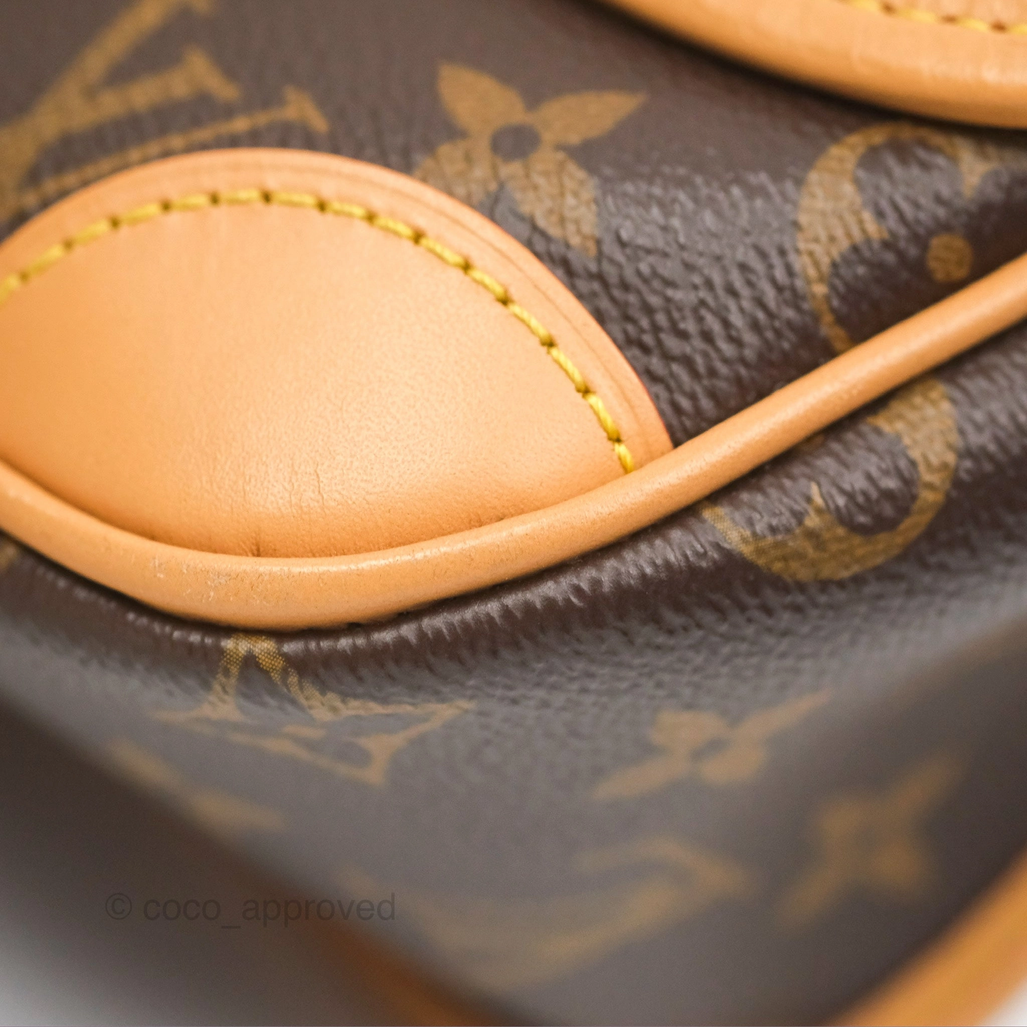 Louis Vuitton Diane Bag Monogram Canvas with Jacquard Strap