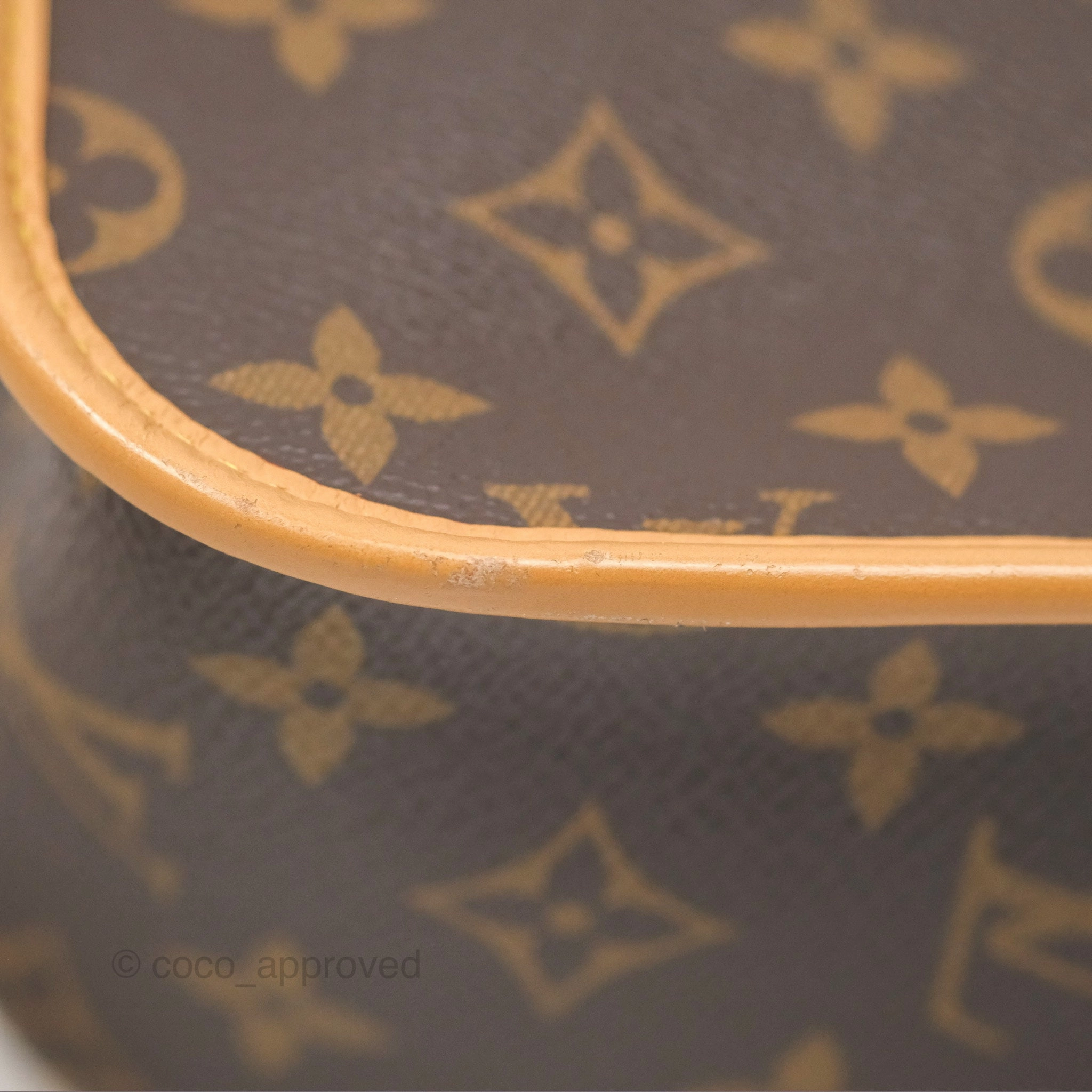 Louis Vuitton Diane Bag Monogram Canvas with Jacquard Strap