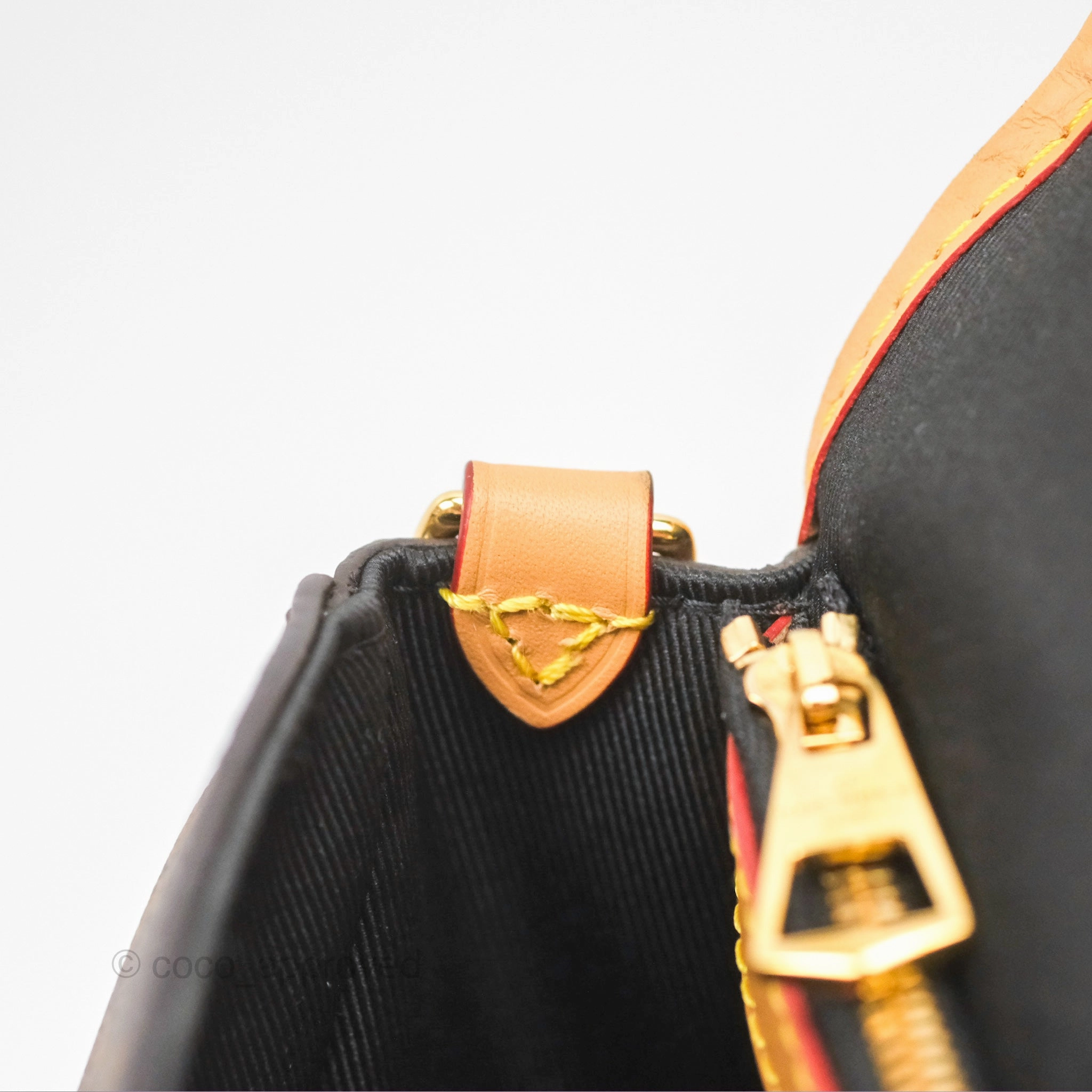 Louis Vuitton Diane Bag Monogram Canvas with Jacquard Strap