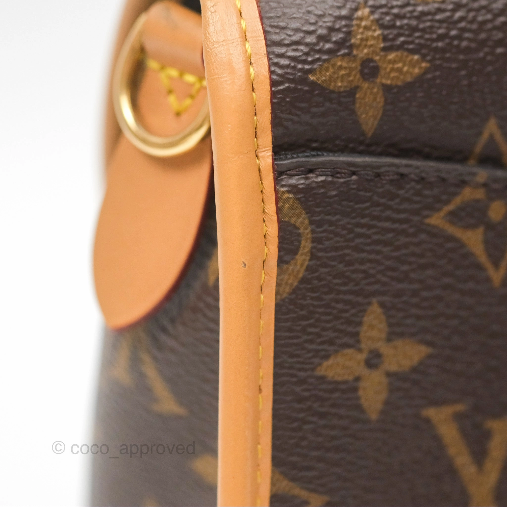 Louis Vuitton Diane Bag Monogram Canvas with Jacquard Strap