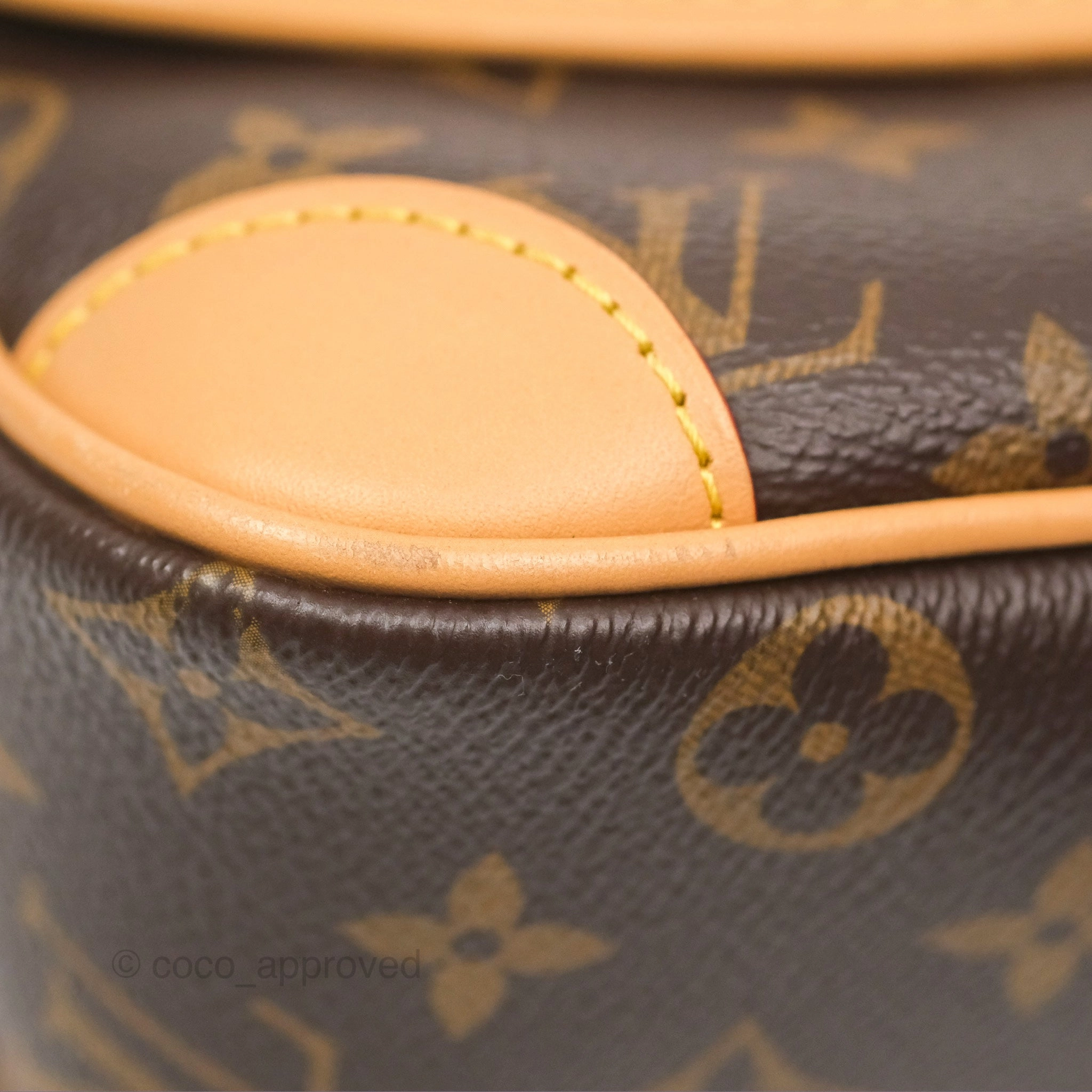 Louis Vuitton Diane Bag Monogram Canvas with Jacquard Strap