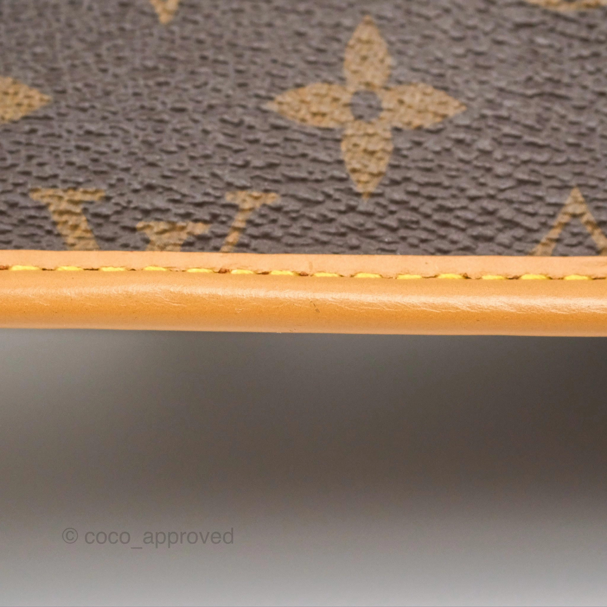 Louis Vuitton Diane Bag Monogram Canvas with Jacquard Strap