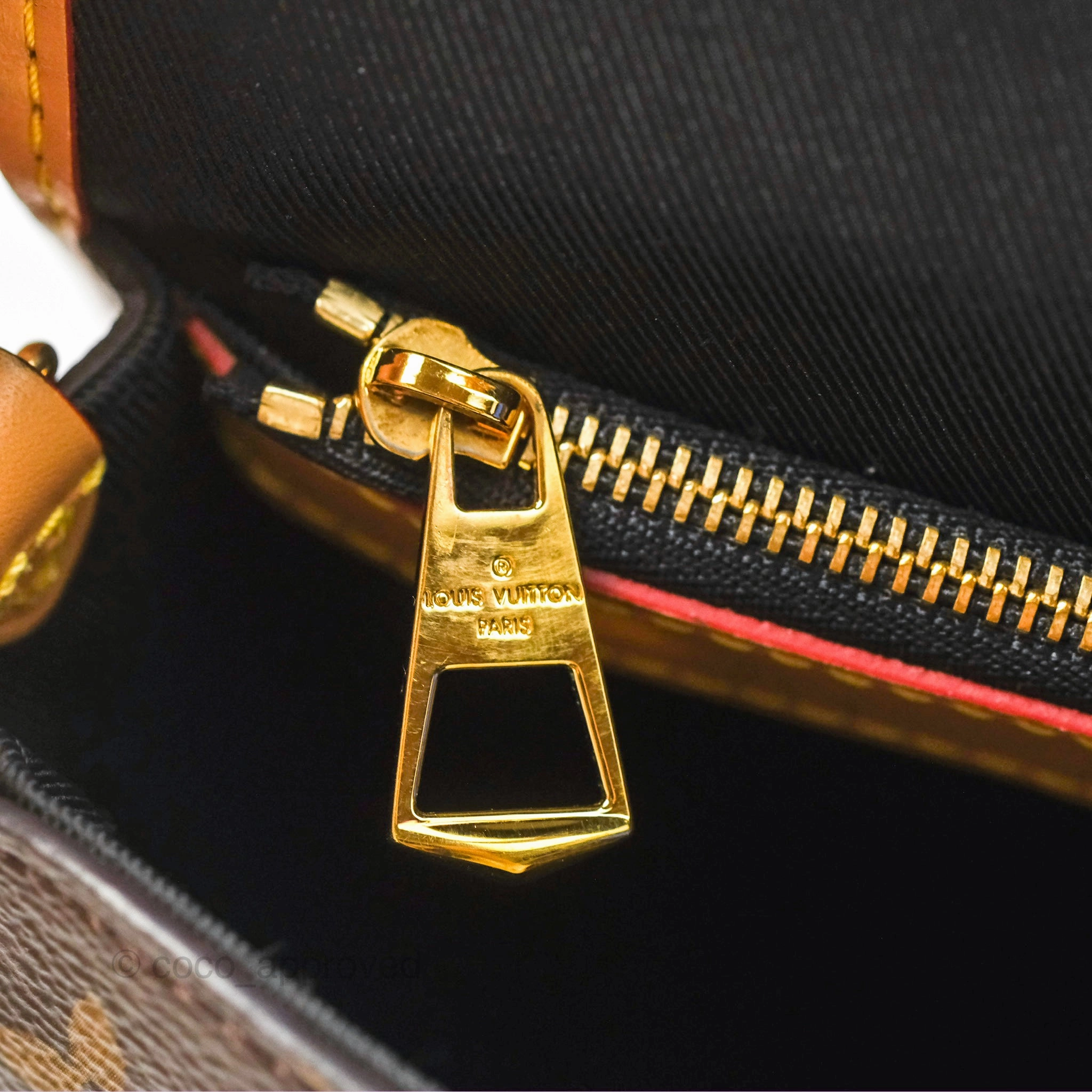 Louis Vuitton Diane Bag Monogram Canvas with Jacquard Strap