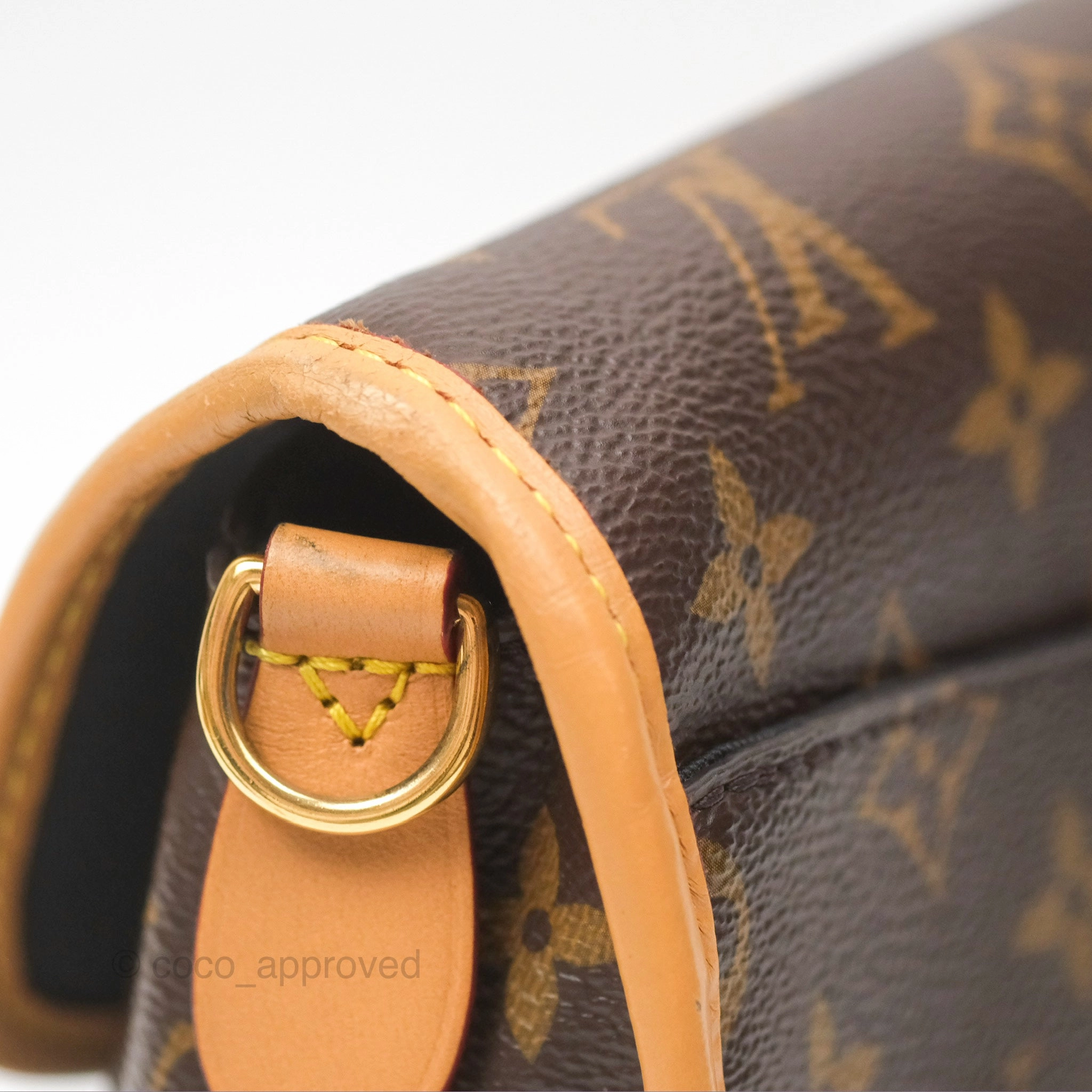 Louis Vuitton Diane Bag Monogram Canvas with Jacquard Strap
