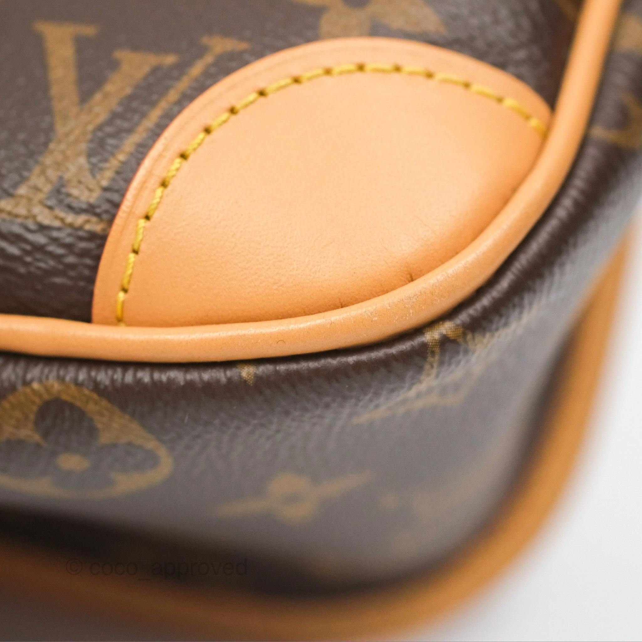 Louis Vuitton Diane Bag Monogram Canvas with Jacquard Strap