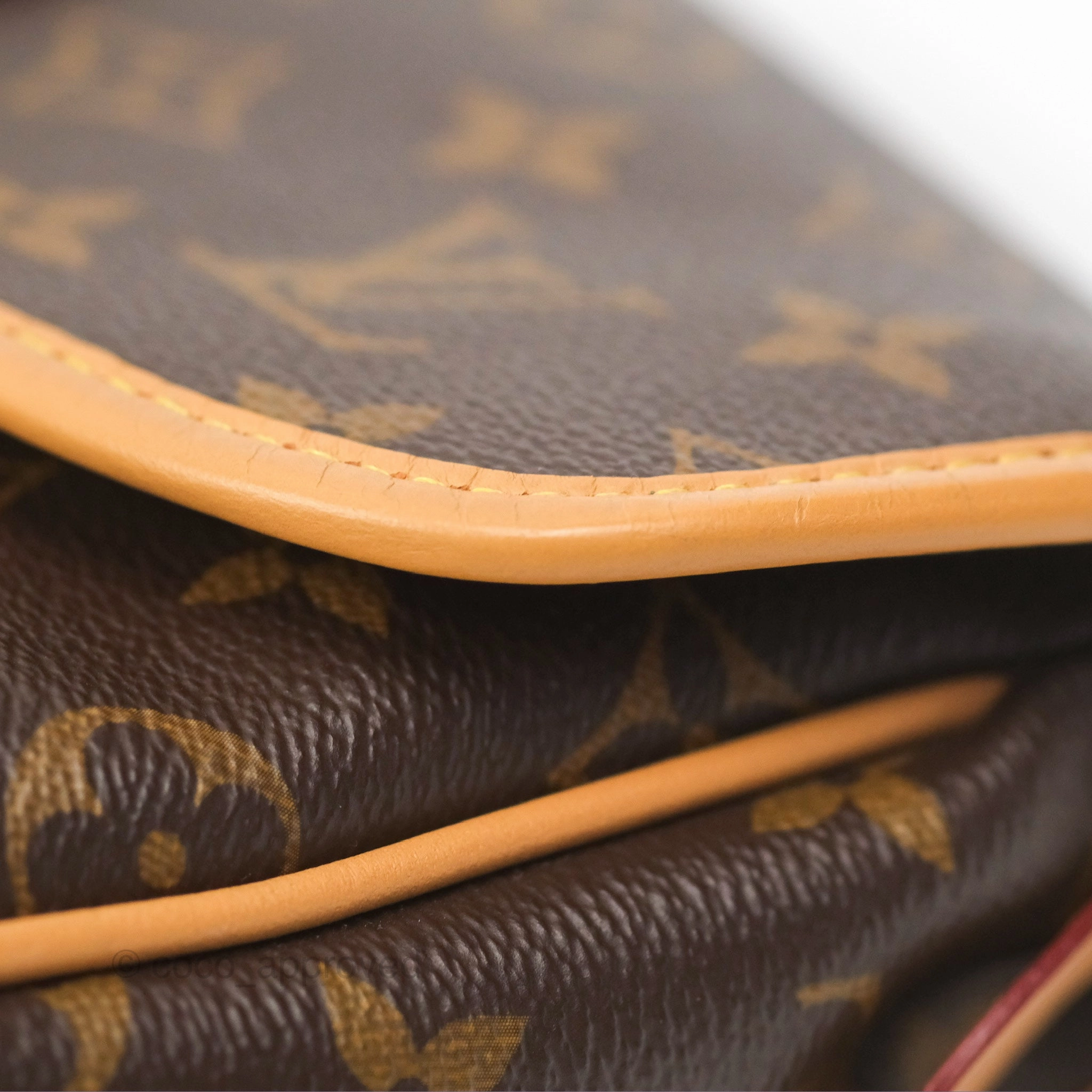 Louis Vuitton Diane Bag Monogram Canvas with Jacquard Strap
