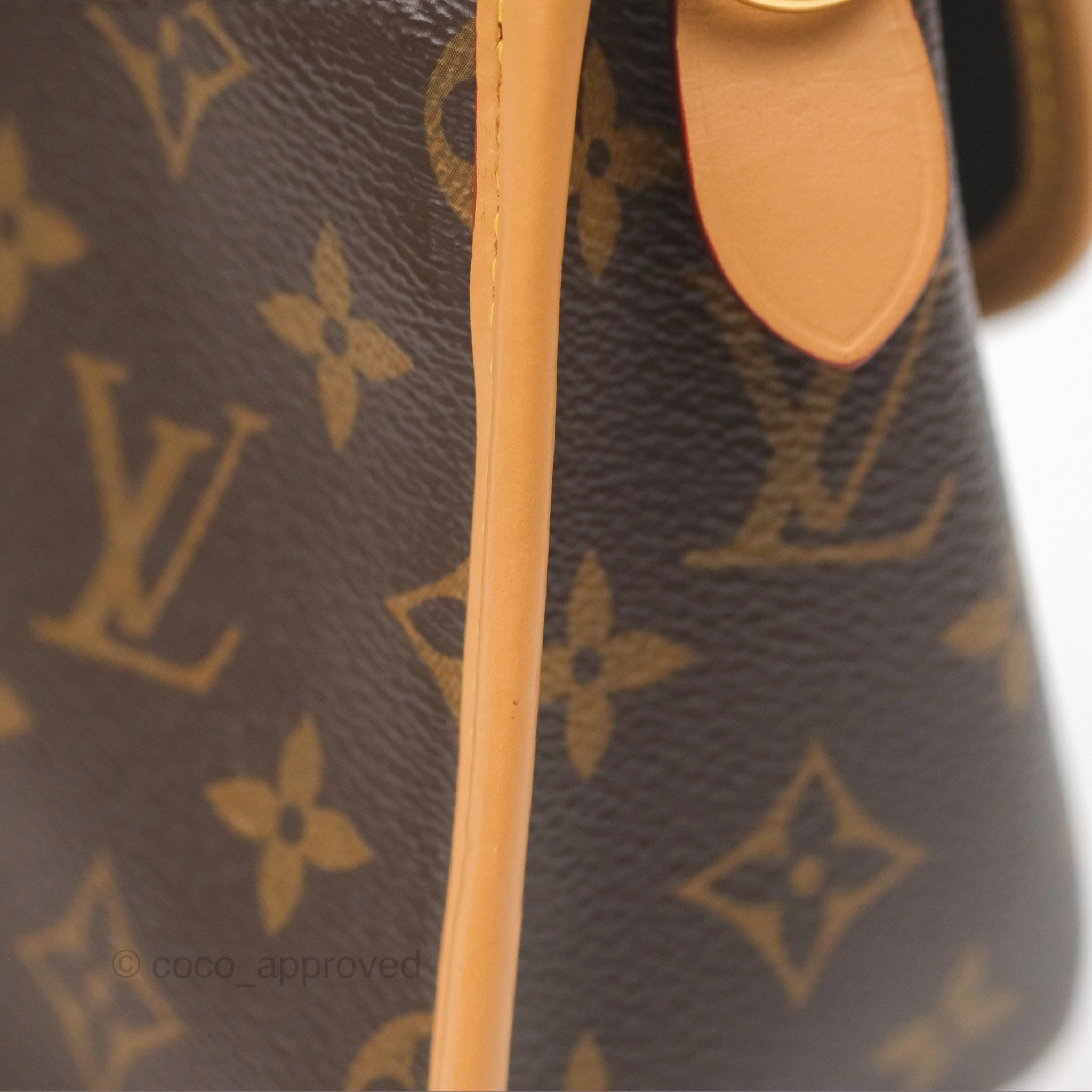 Louis Vuitton Diane Bag Monogram Canvas with Jacquard Strap