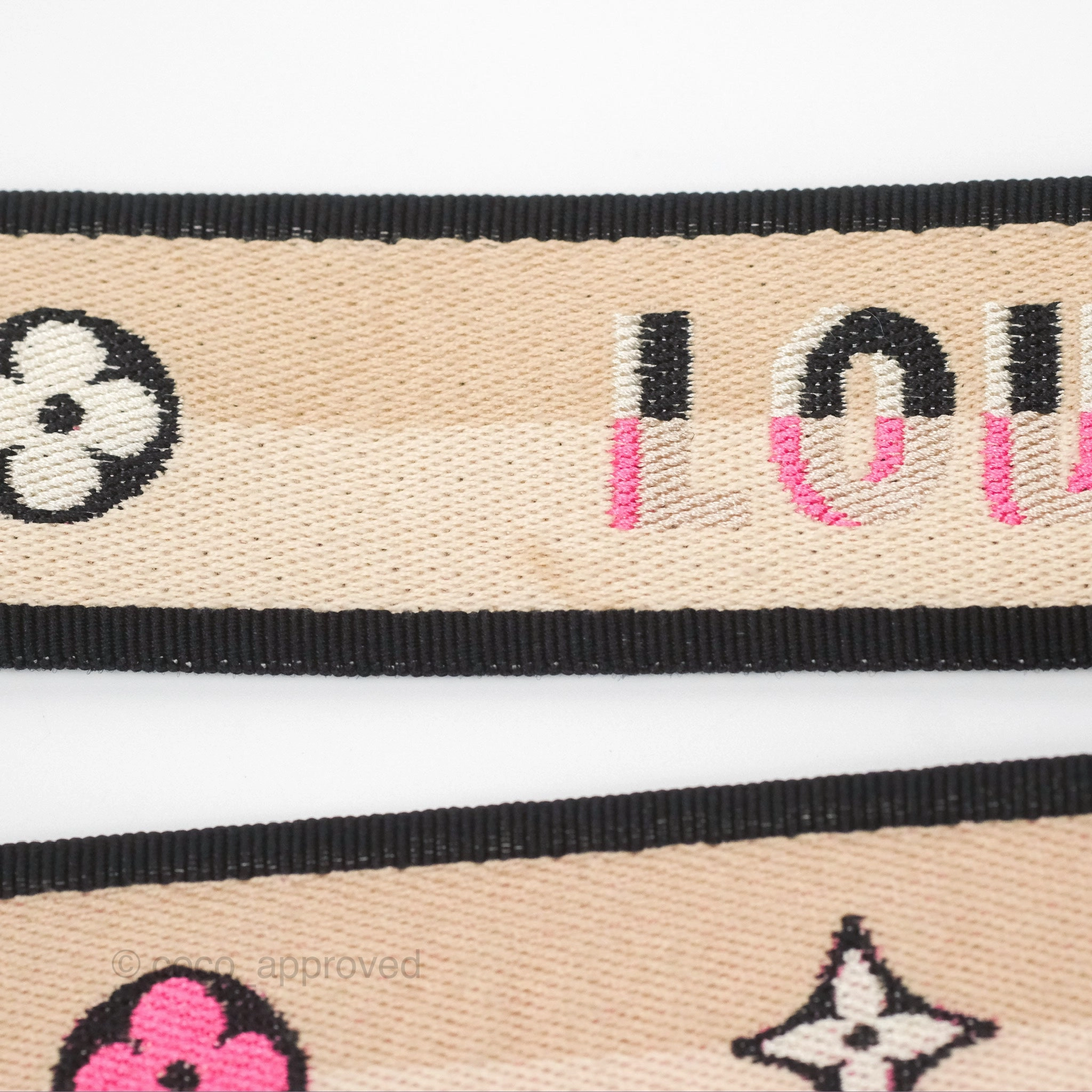 Louis Vuitton Diane Bag Monogram Canvas with Jacquard Strap