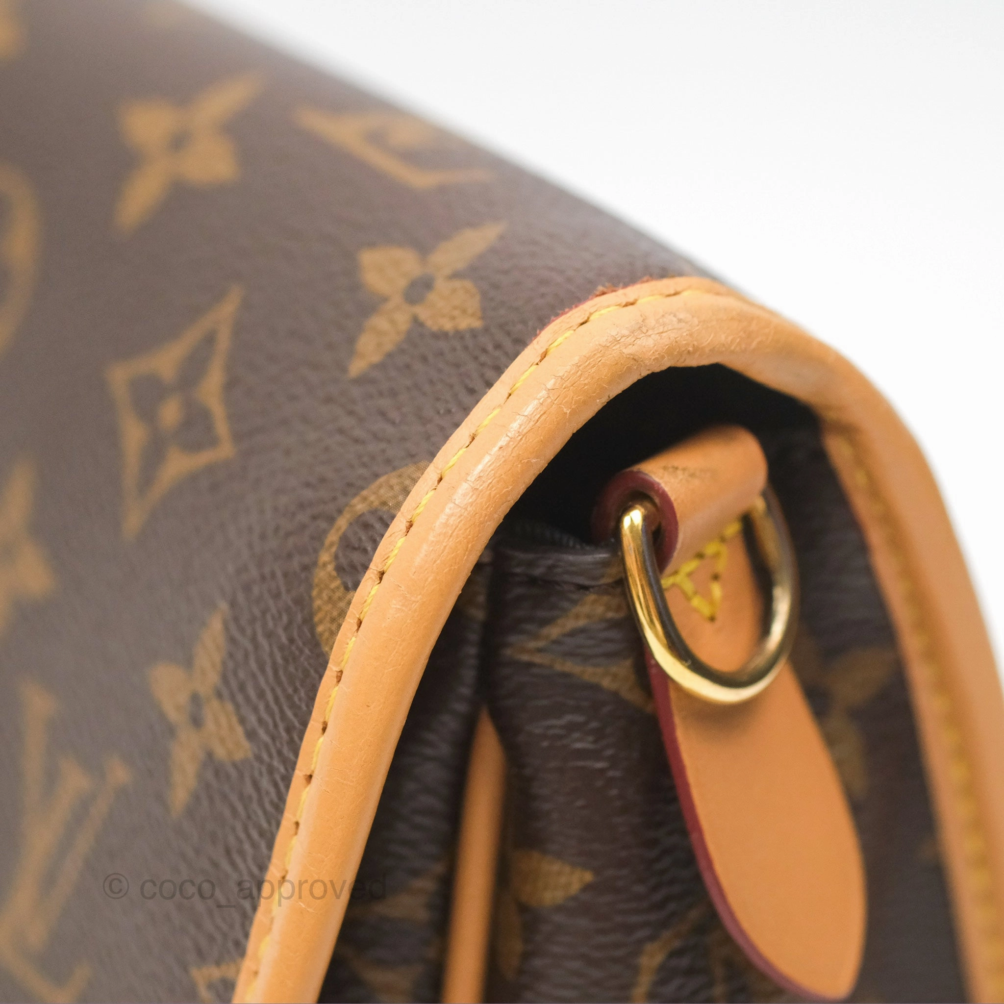 Louis Vuitton Diane Bag Monogram Canvas with Jacquard Strap