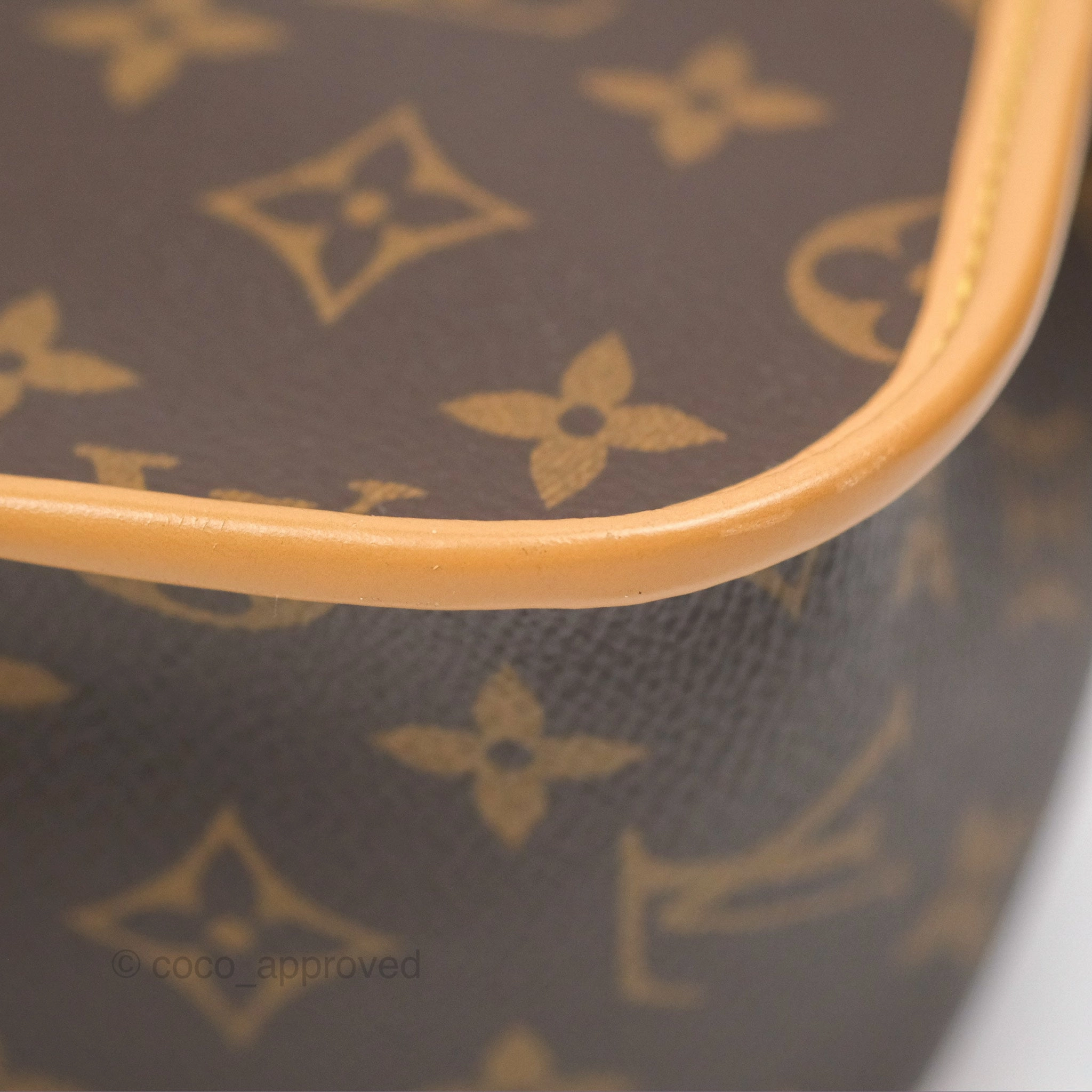 Louis Vuitton Diane Bag Monogram Canvas with Jacquard Strap