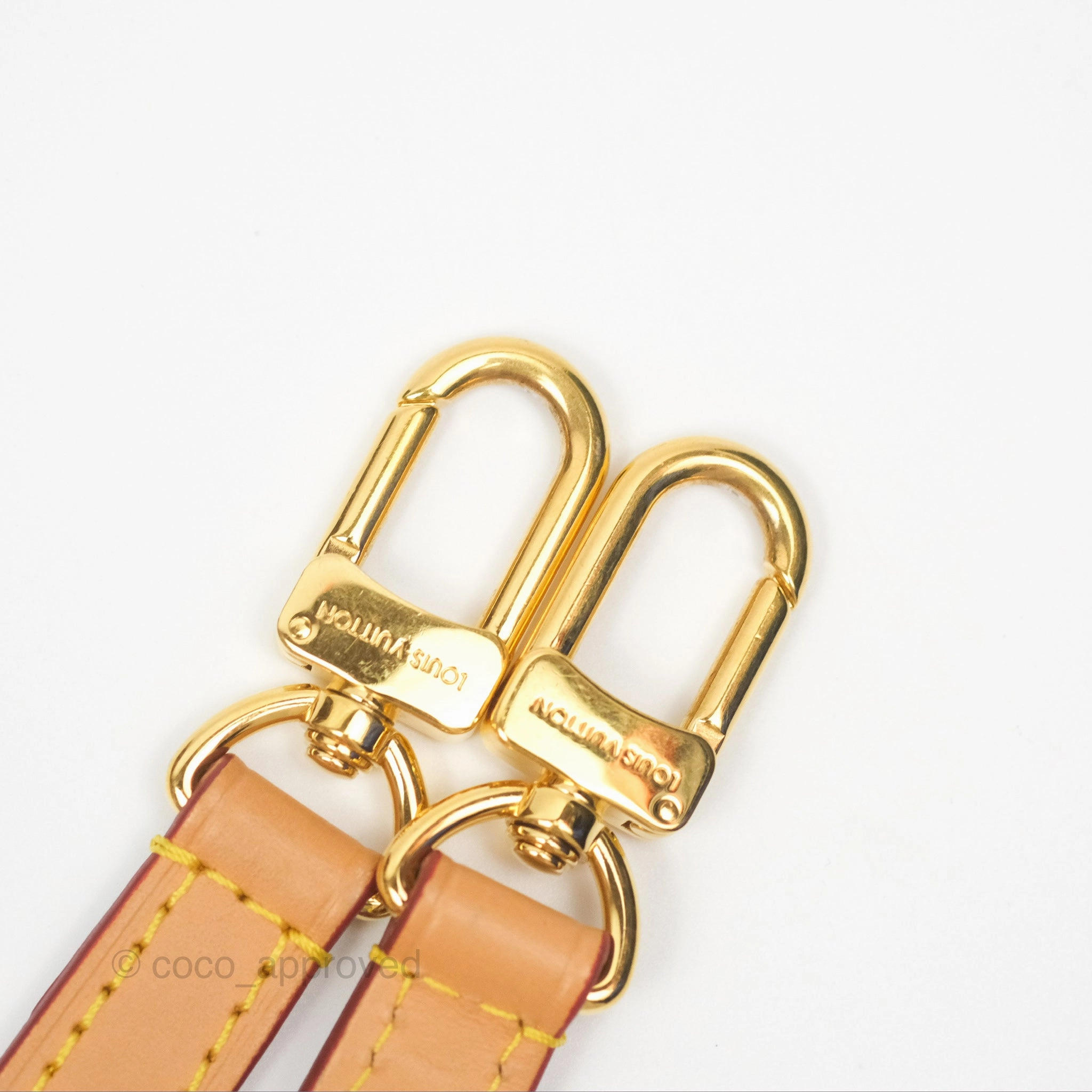 Louis Vuitton Diane Bag Monogram Canvas with Jacquard Strap