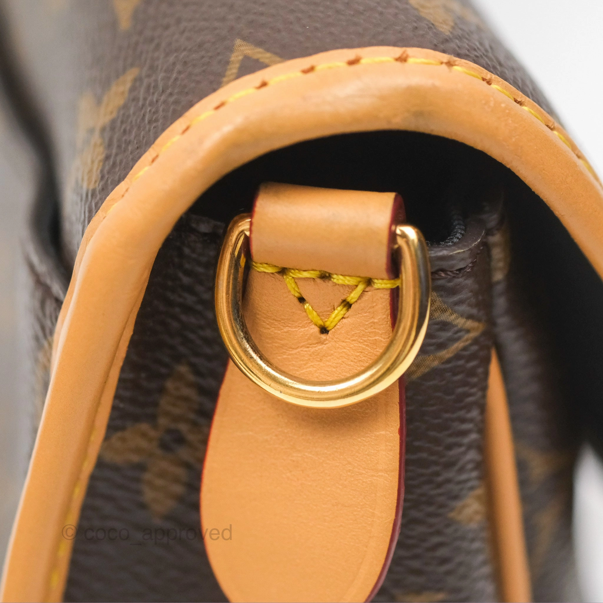 Louis Vuitton Diane Bag Monogram Canvas with Jacquard Strap
