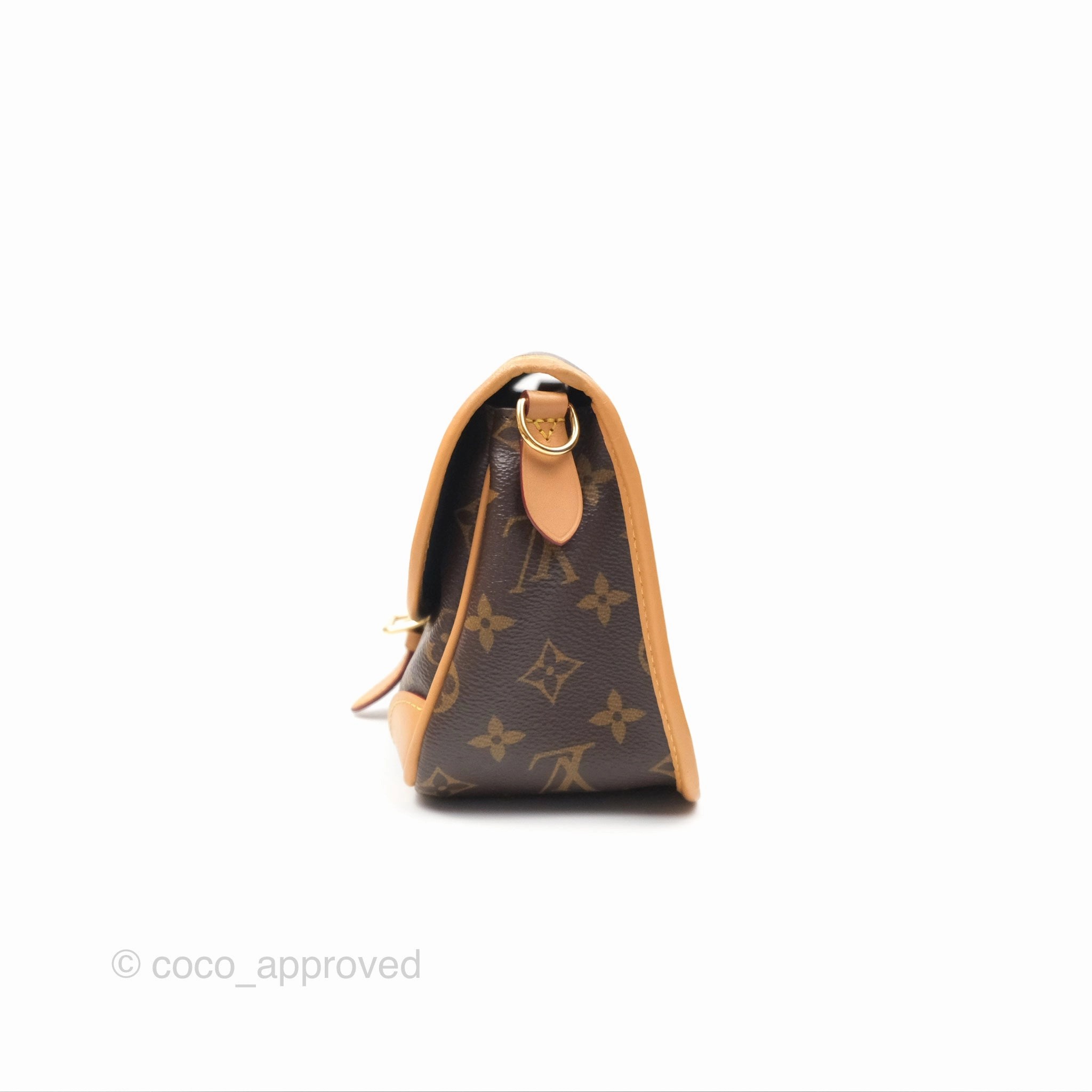 Louis Vuitton Diane Bag Monogram Canvas with Jacquard Strap