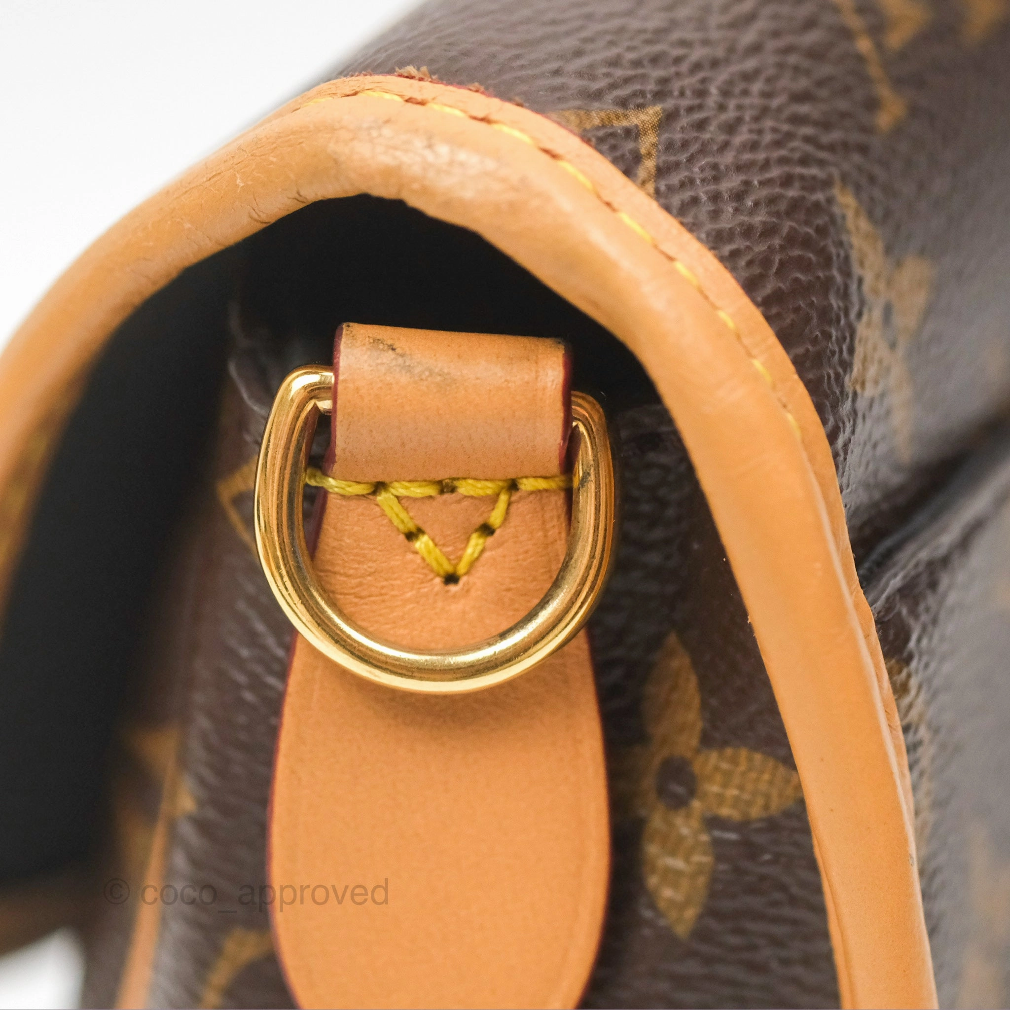 Louis Vuitton Diane Bag Monogram Canvas with Jacquard Strap