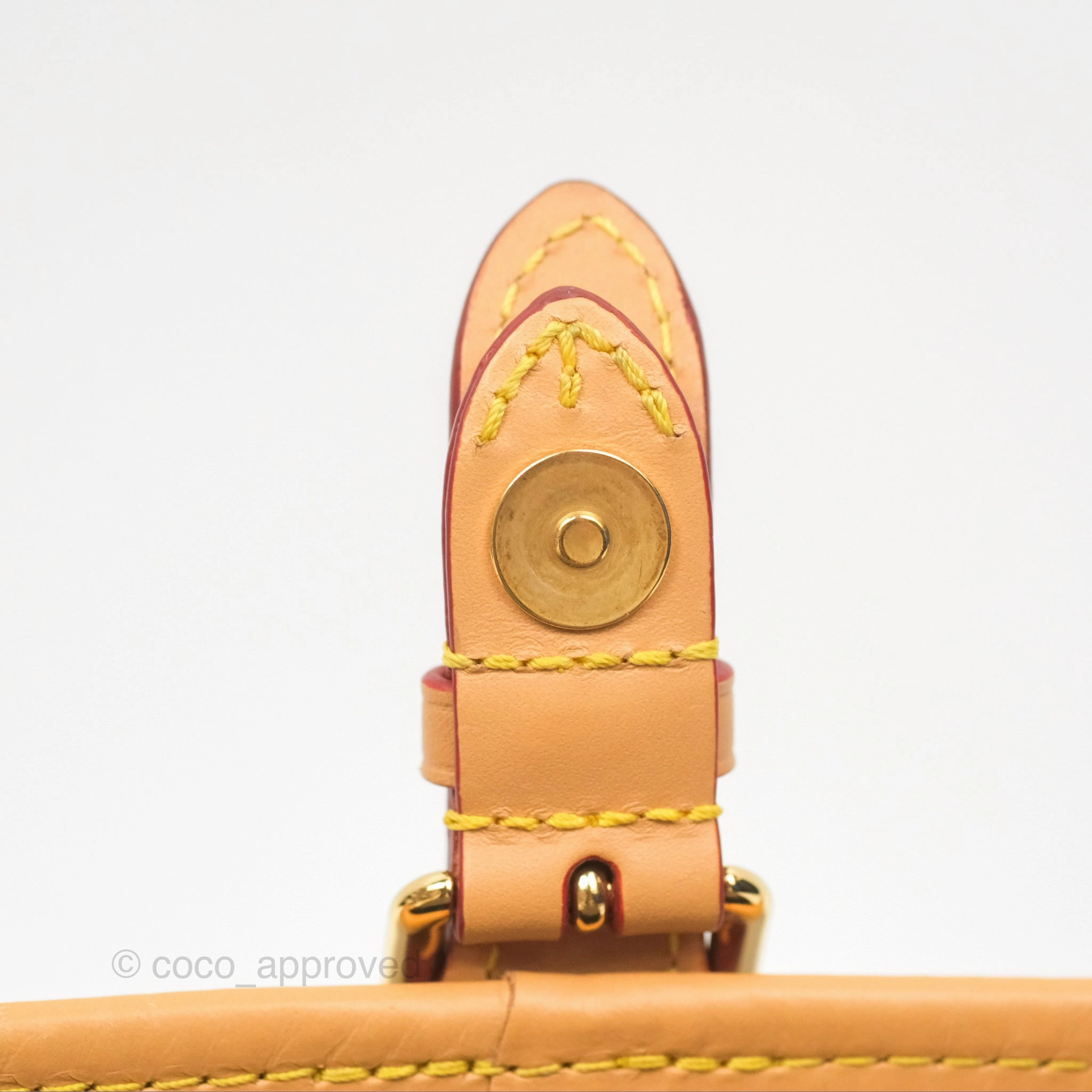 Louis Vuitton Diane Bag Monogram Canvas with Jacquard Strap