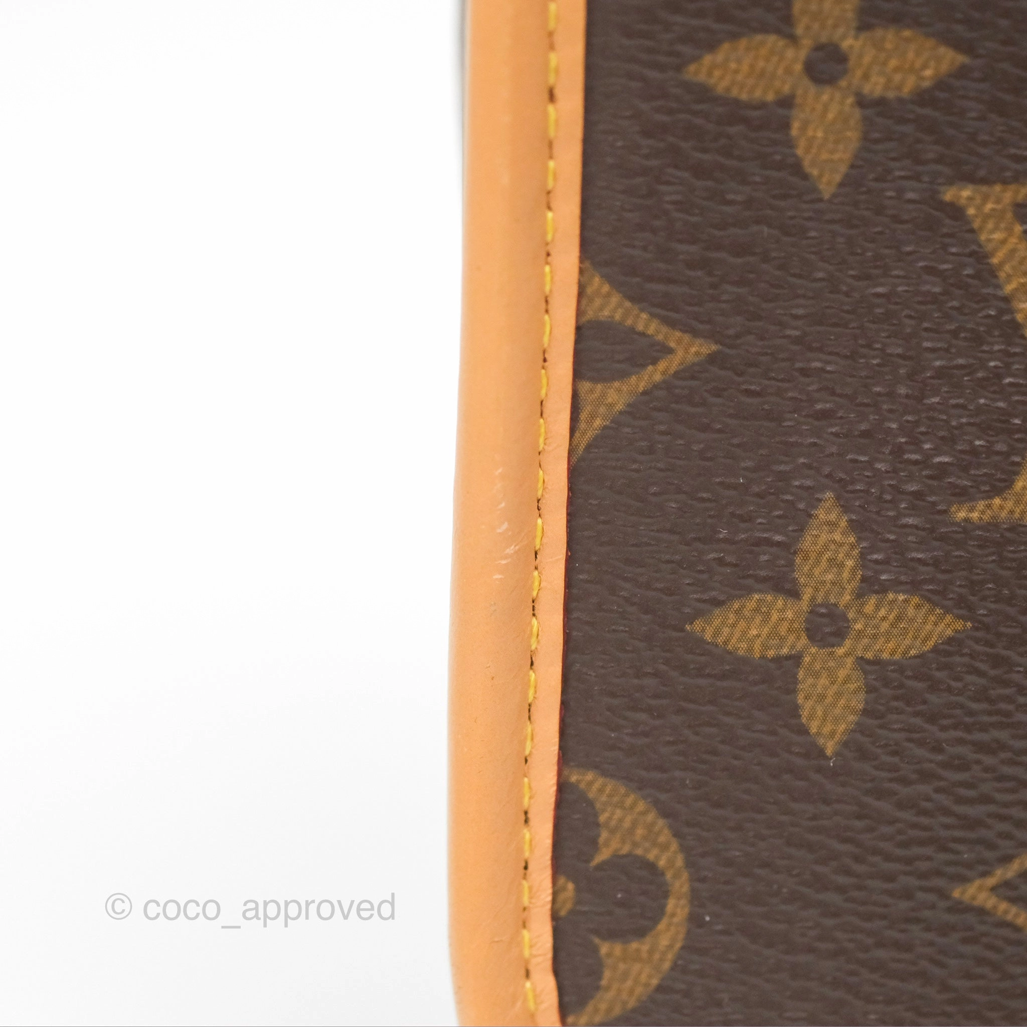 Louis Vuitton Diane Bag Monogram Canvas with Jacquard Strap