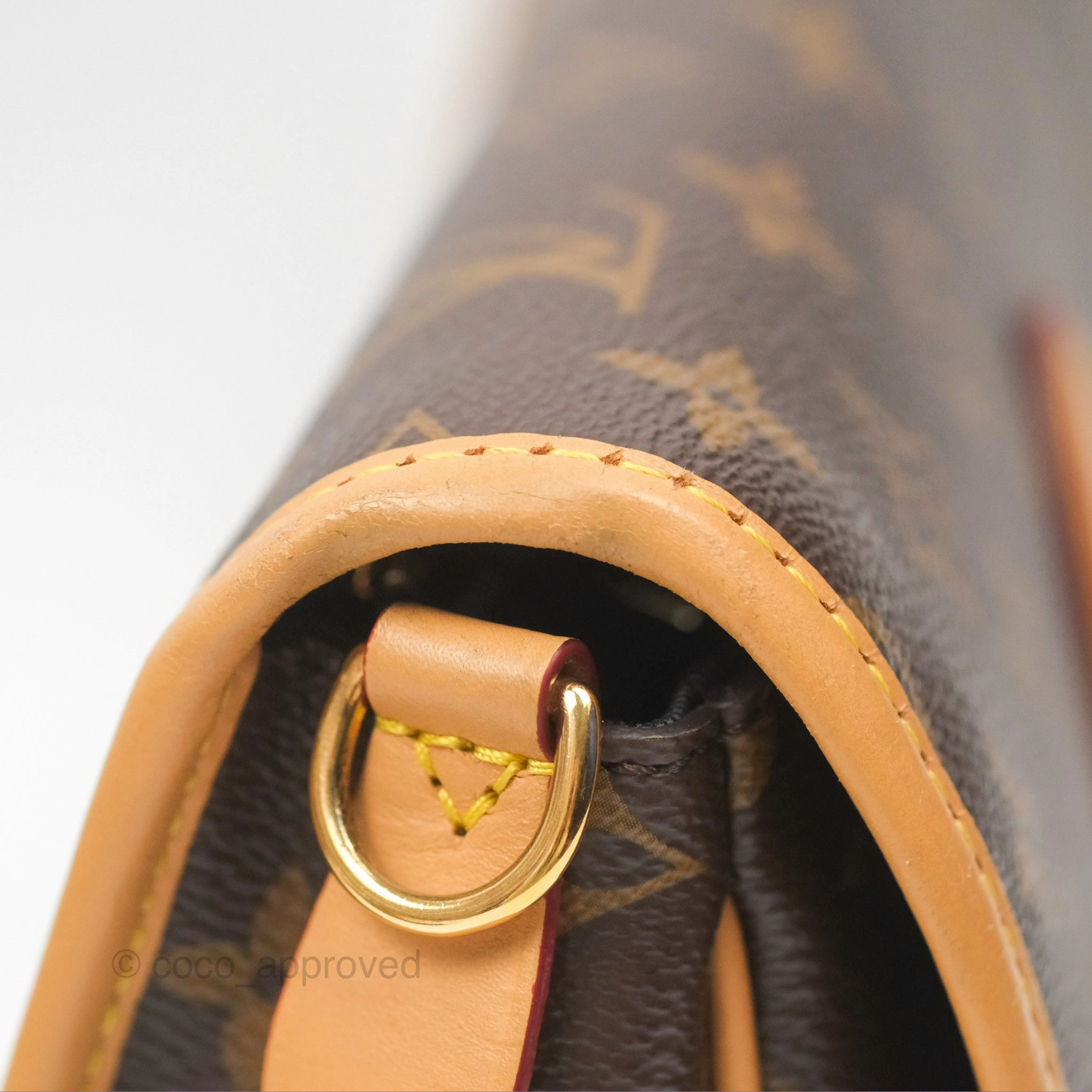 Louis Vuitton Diane Bag Monogram Canvas with Jacquard Strap