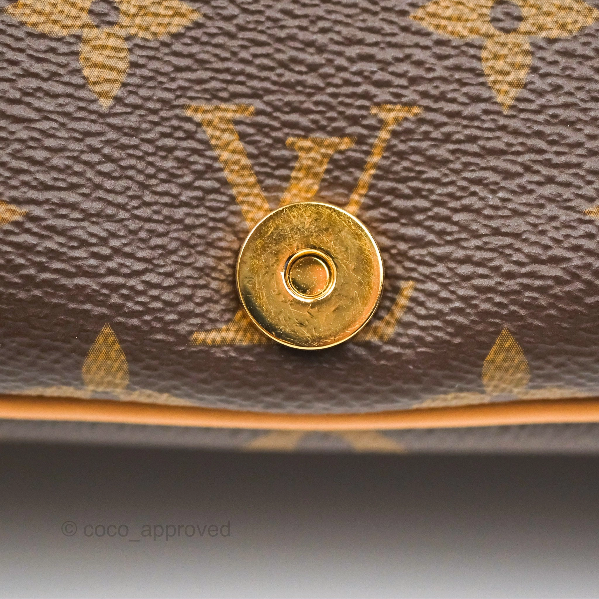 Louis Vuitton Diane Bag Monogram Canvas with Jacquard Strap