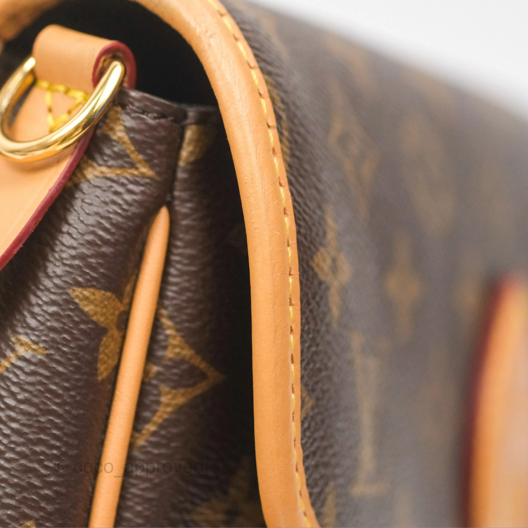 Louis Vuitton Diane Bag Monogram Canvas with Jacquard Strap