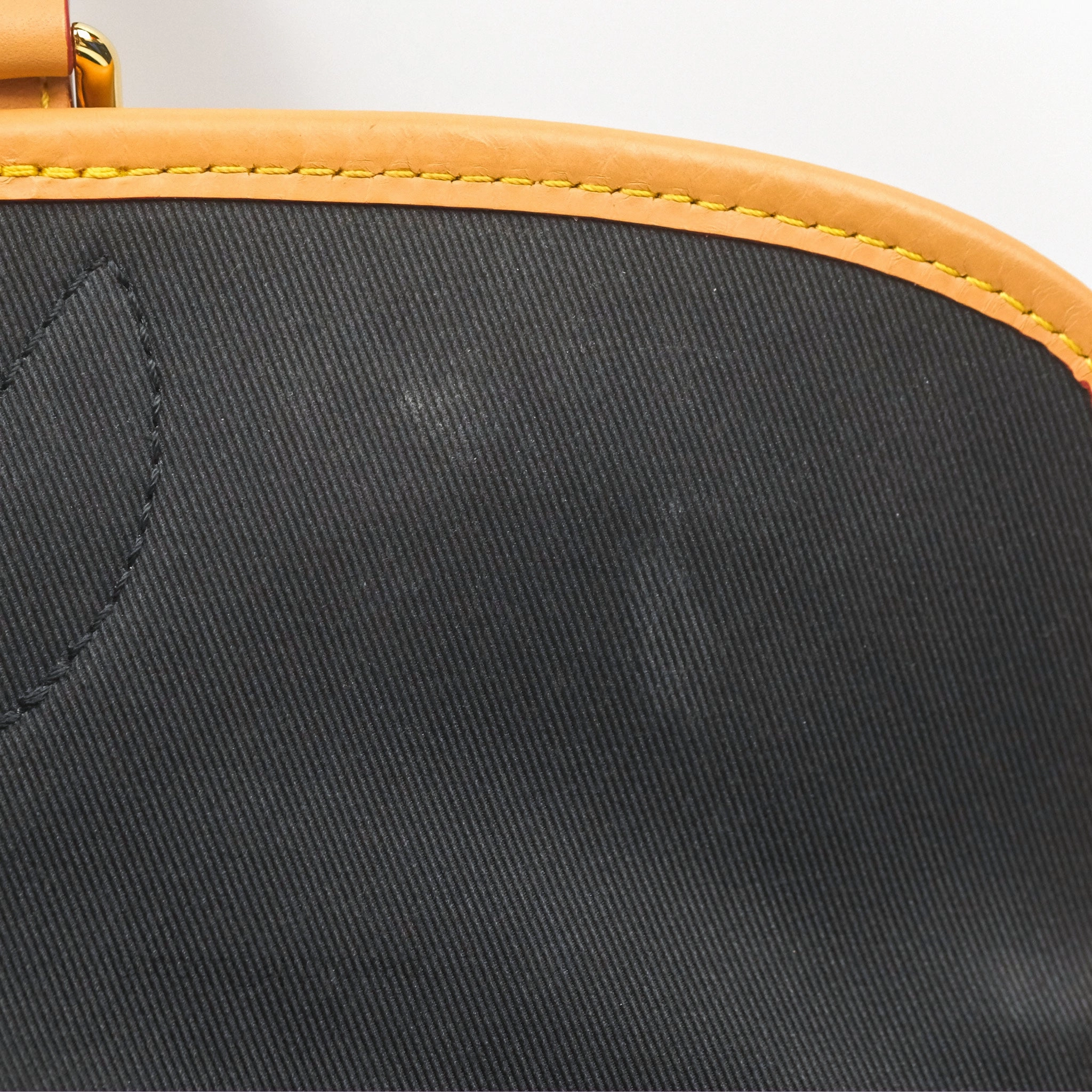 Louis Vuitton Diane Bag Monogram Canvas with Jacquard Strap