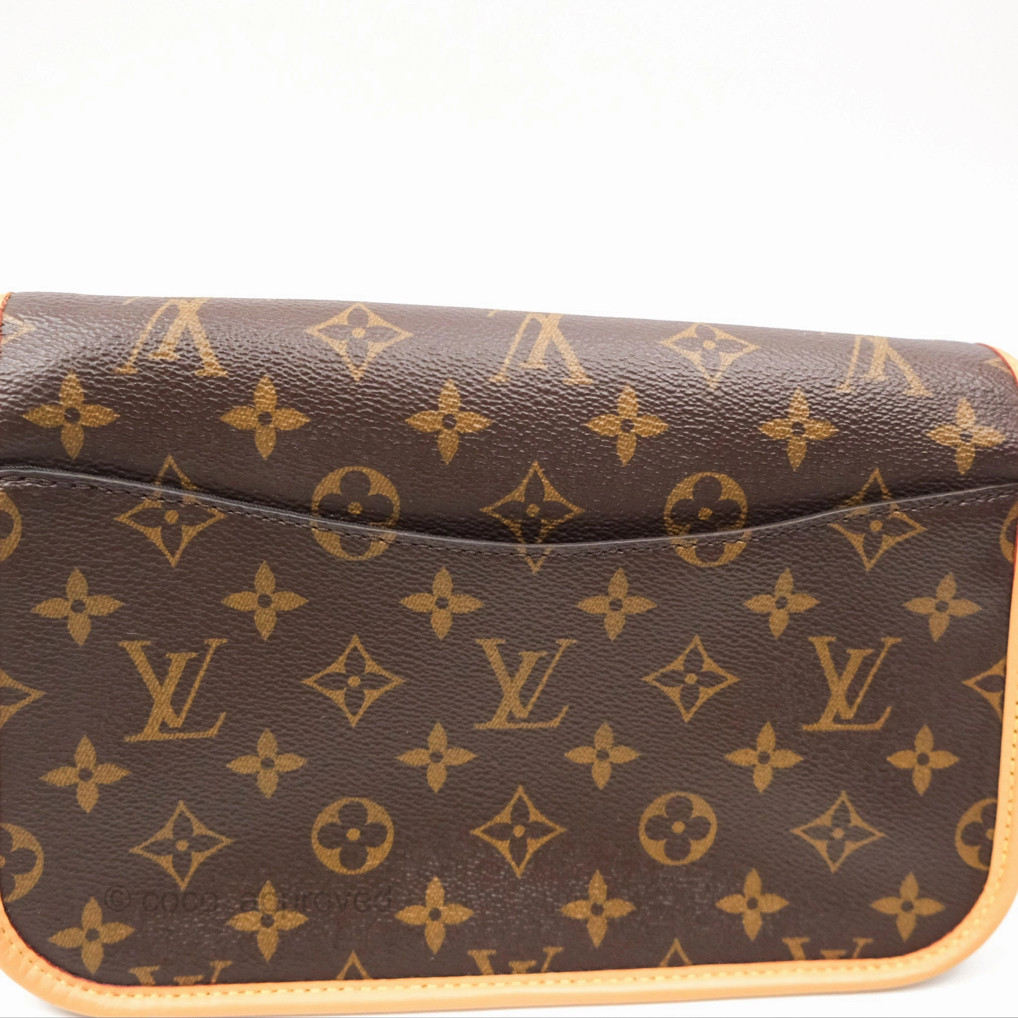 Louis Vuitton Diane Bag Monogram Canvas with Jacquard Strap