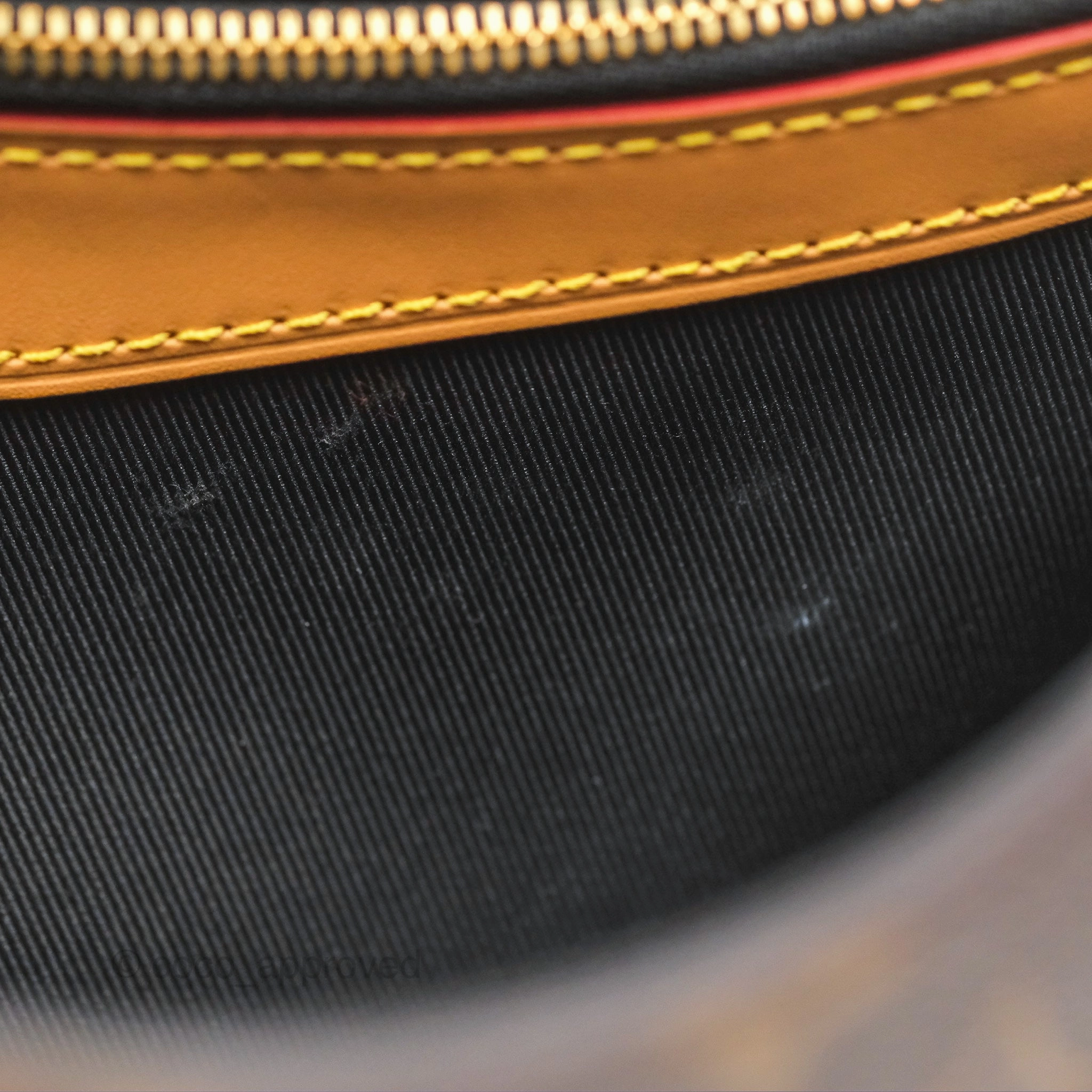 Louis Vuitton Diane Bag Monogram Canvas with Jacquard Strap