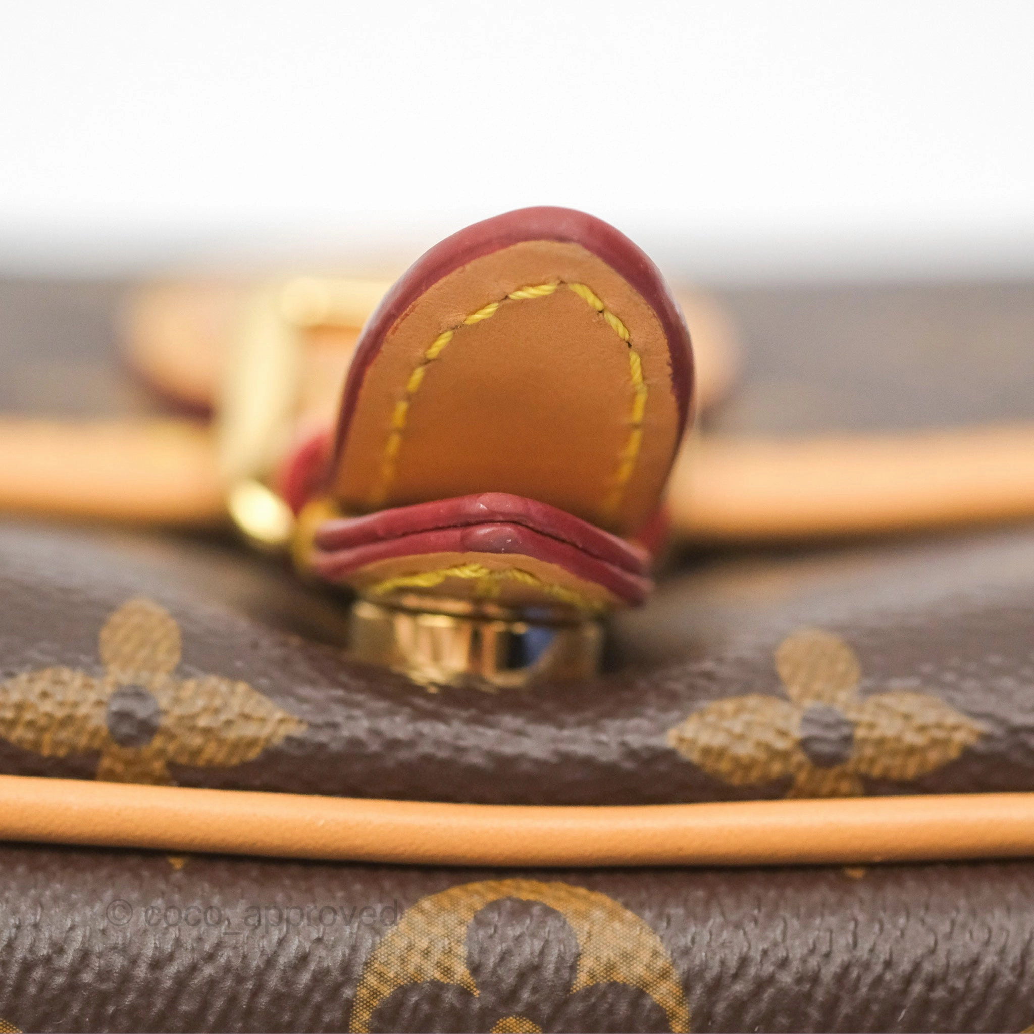 Louis Vuitton Diane Bag Monogram Canvas with Jacquard Strap