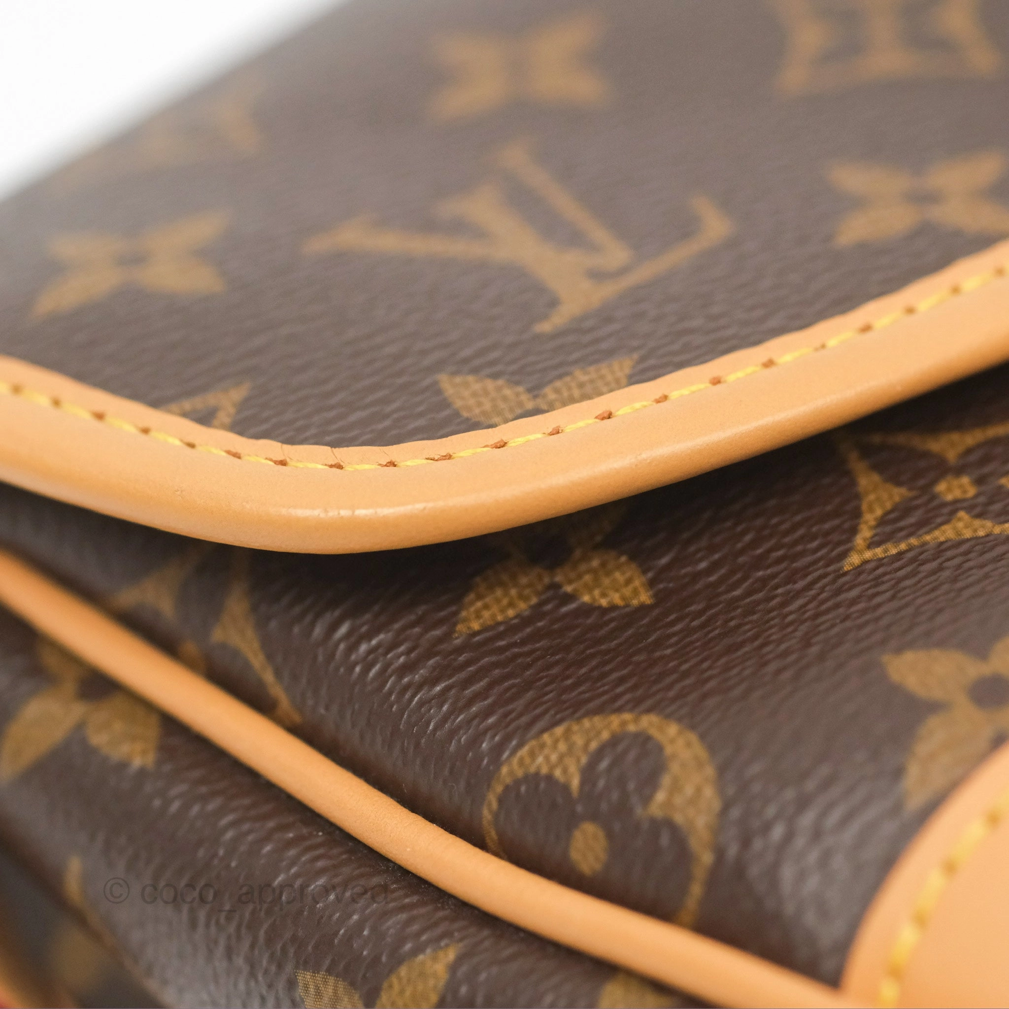 Louis Vuitton Diane Bag Monogram Canvas with Jacquard Strap