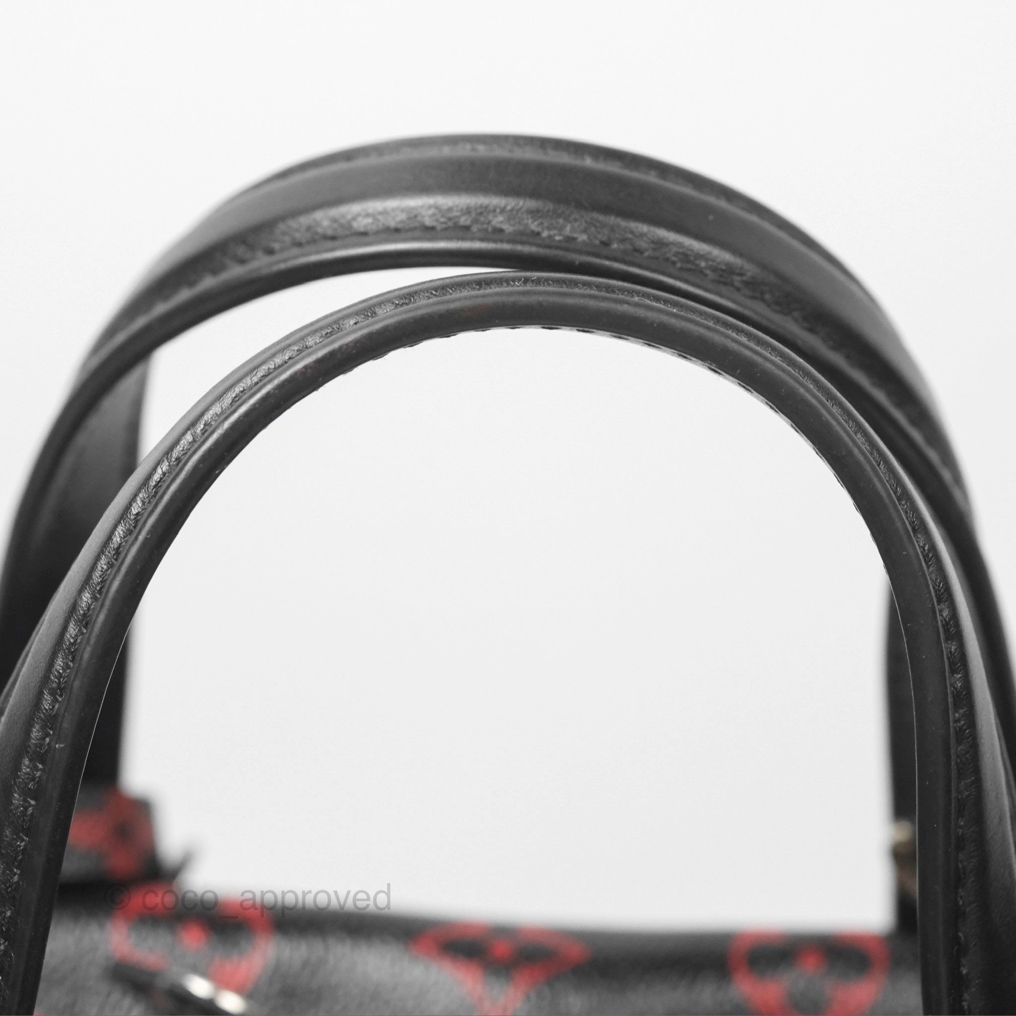 Louis Vuitton Dora Soft MM Monogram Infrarouge