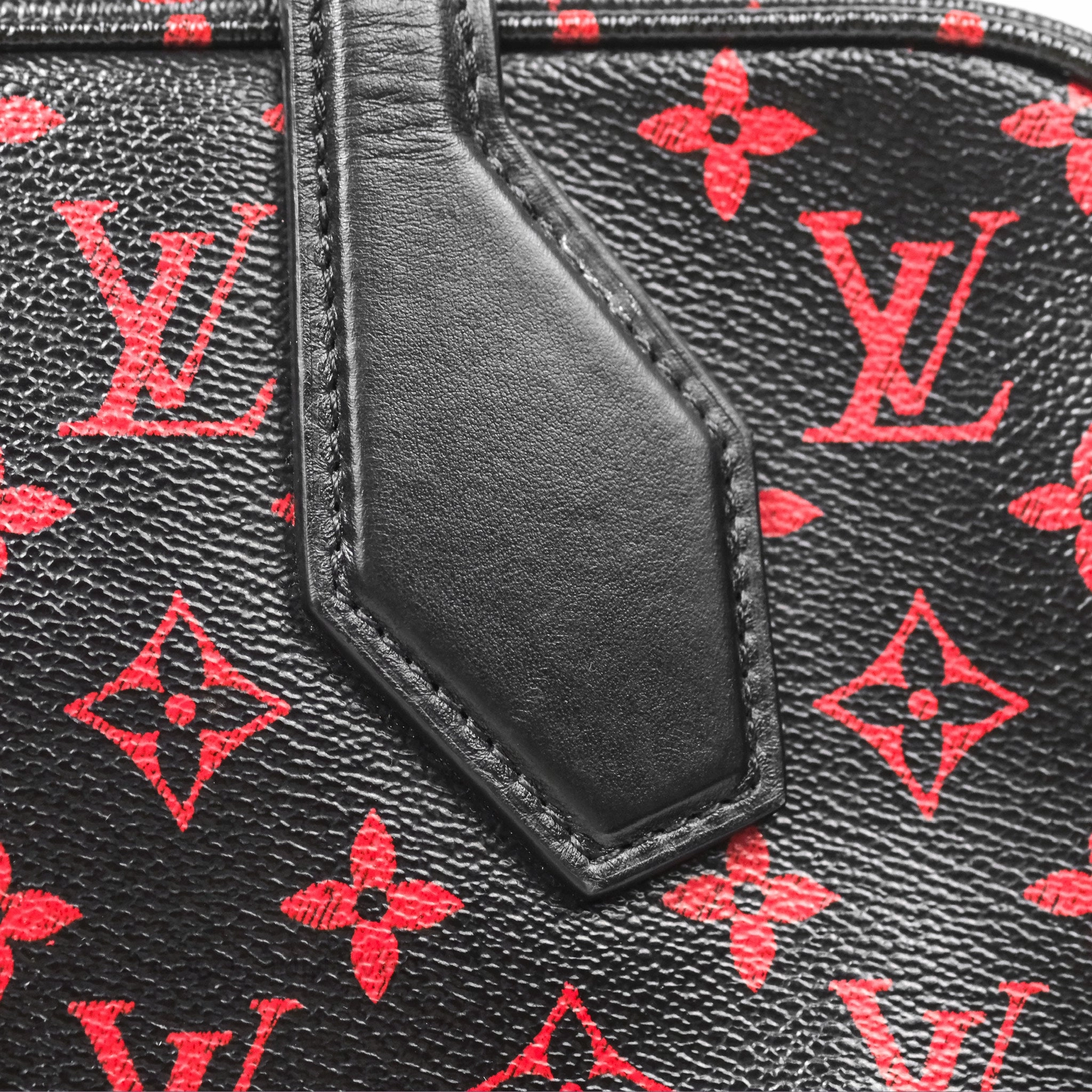 Louis Vuitton Dora Soft MM Monogram Infrarouge