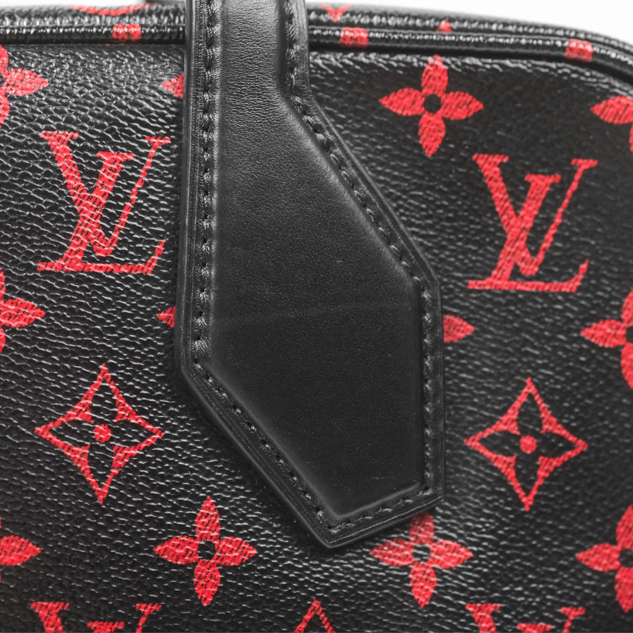 Louis Vuitton Dora Soft MM Monogram Infrarouge