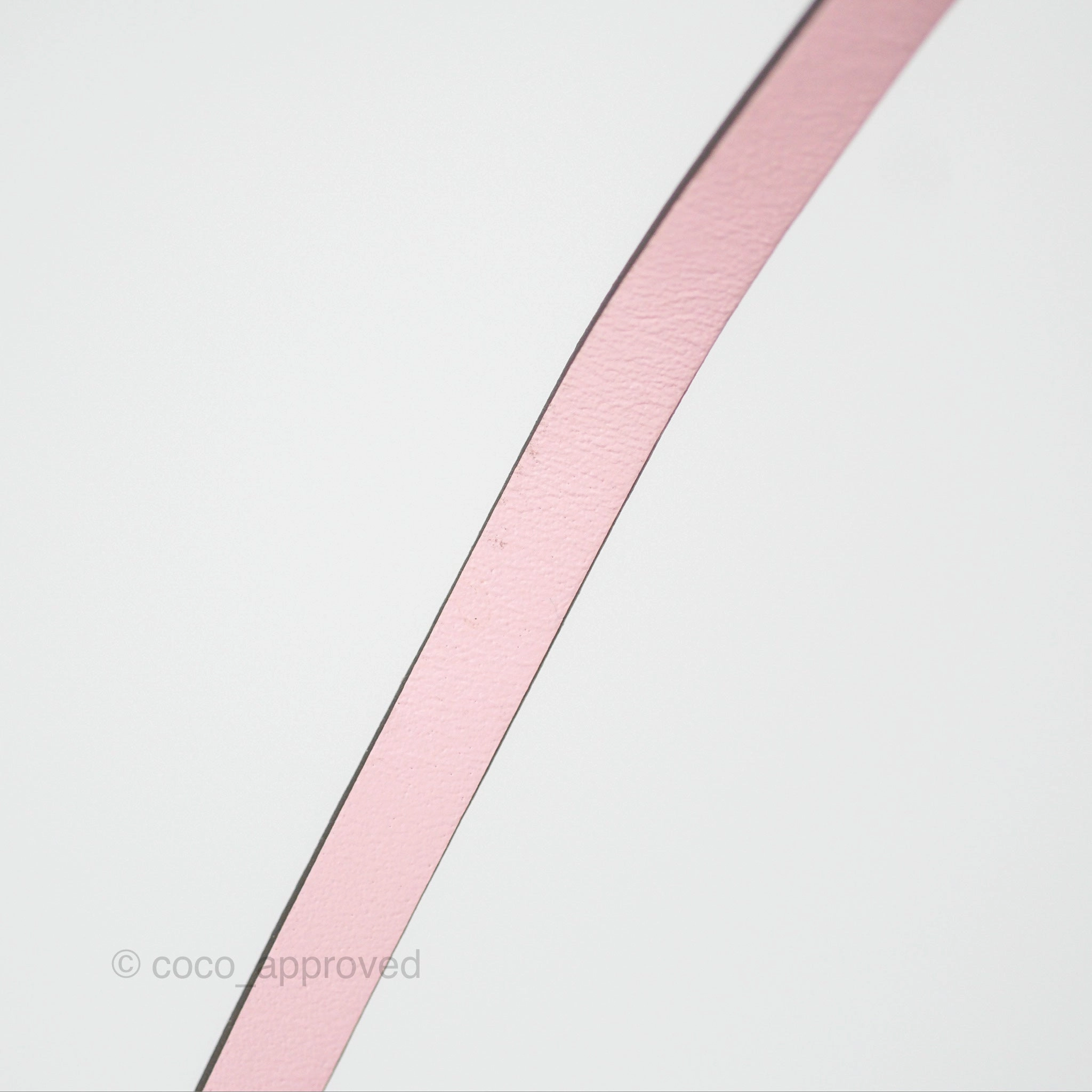 Louis Vuitton Escale Neverfull MM Pastel Monogram