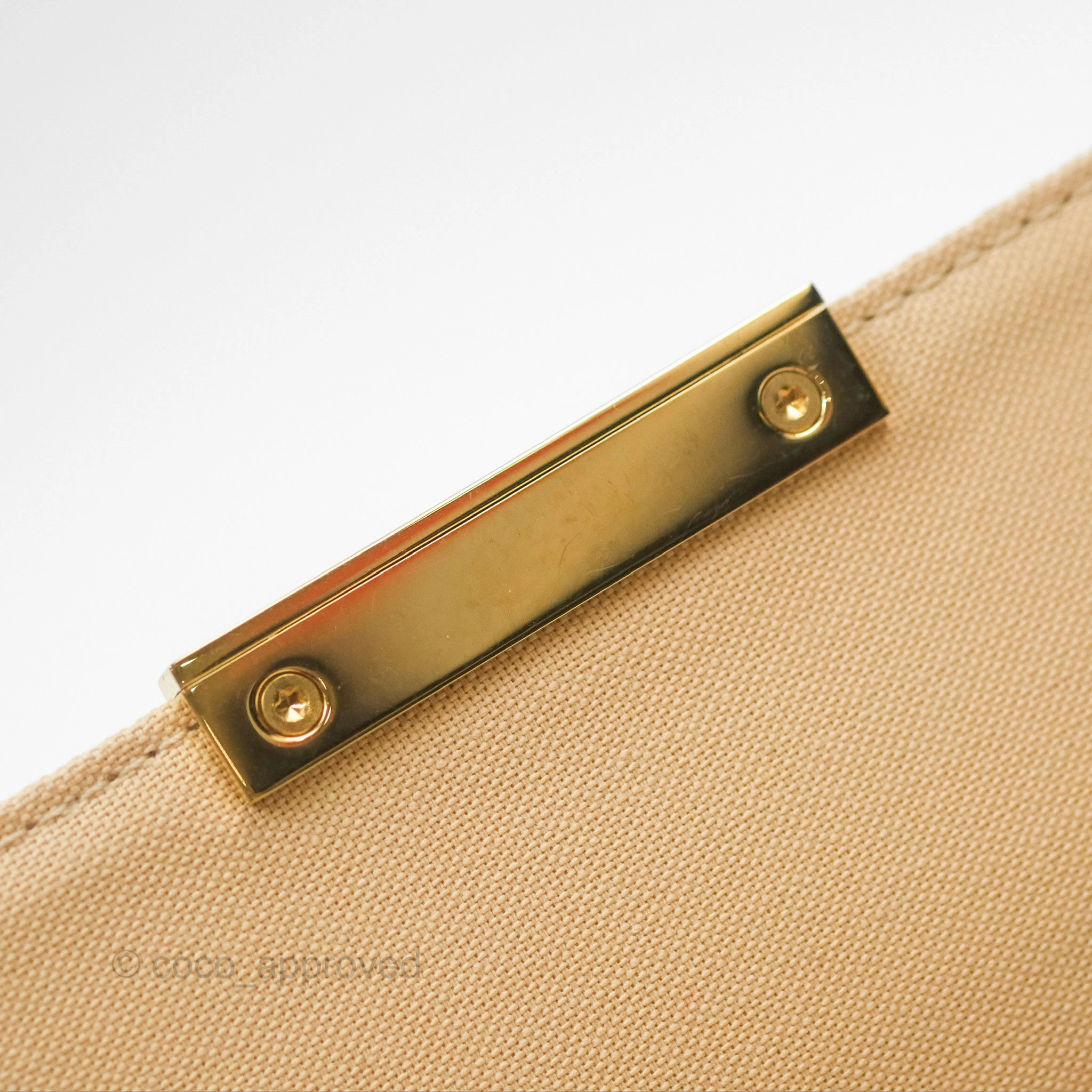 Louis Vuitton Favourite Bag PM Damier Azur