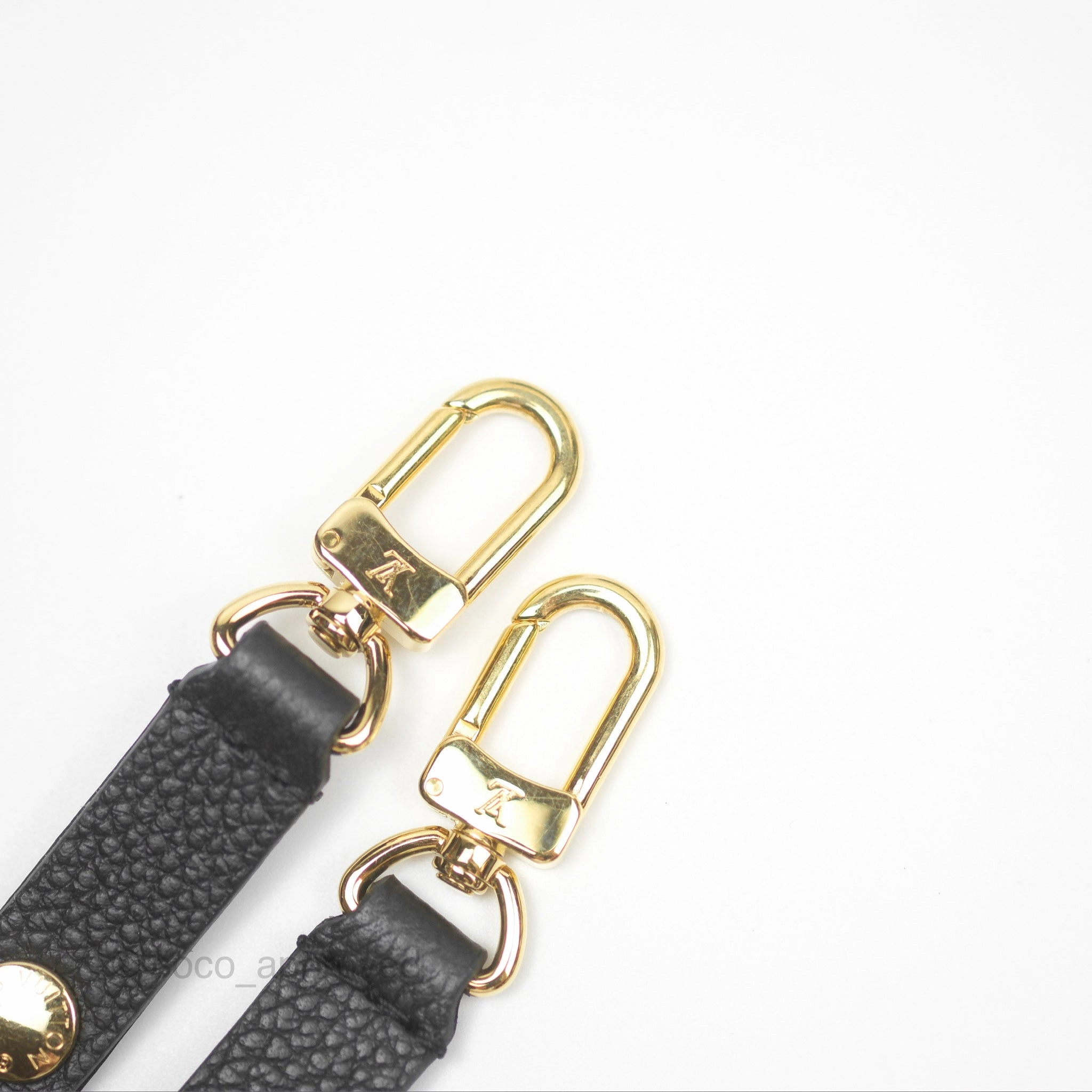 Louis Vuitton Ivy Wallet on Chain Monogram Empreinte Giant