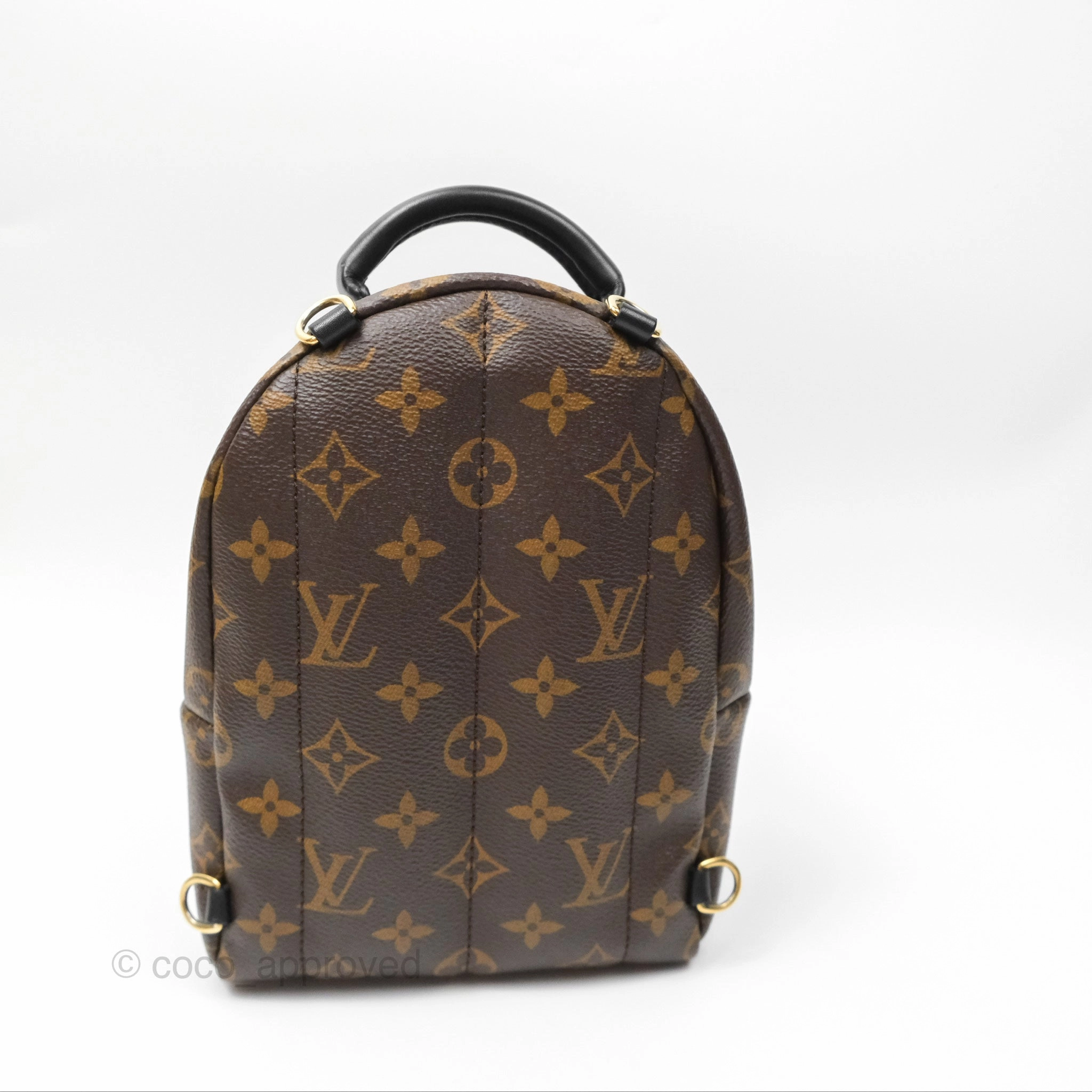 Louis Vuitton Mini Palm Springs Backpack Monogram Canvas