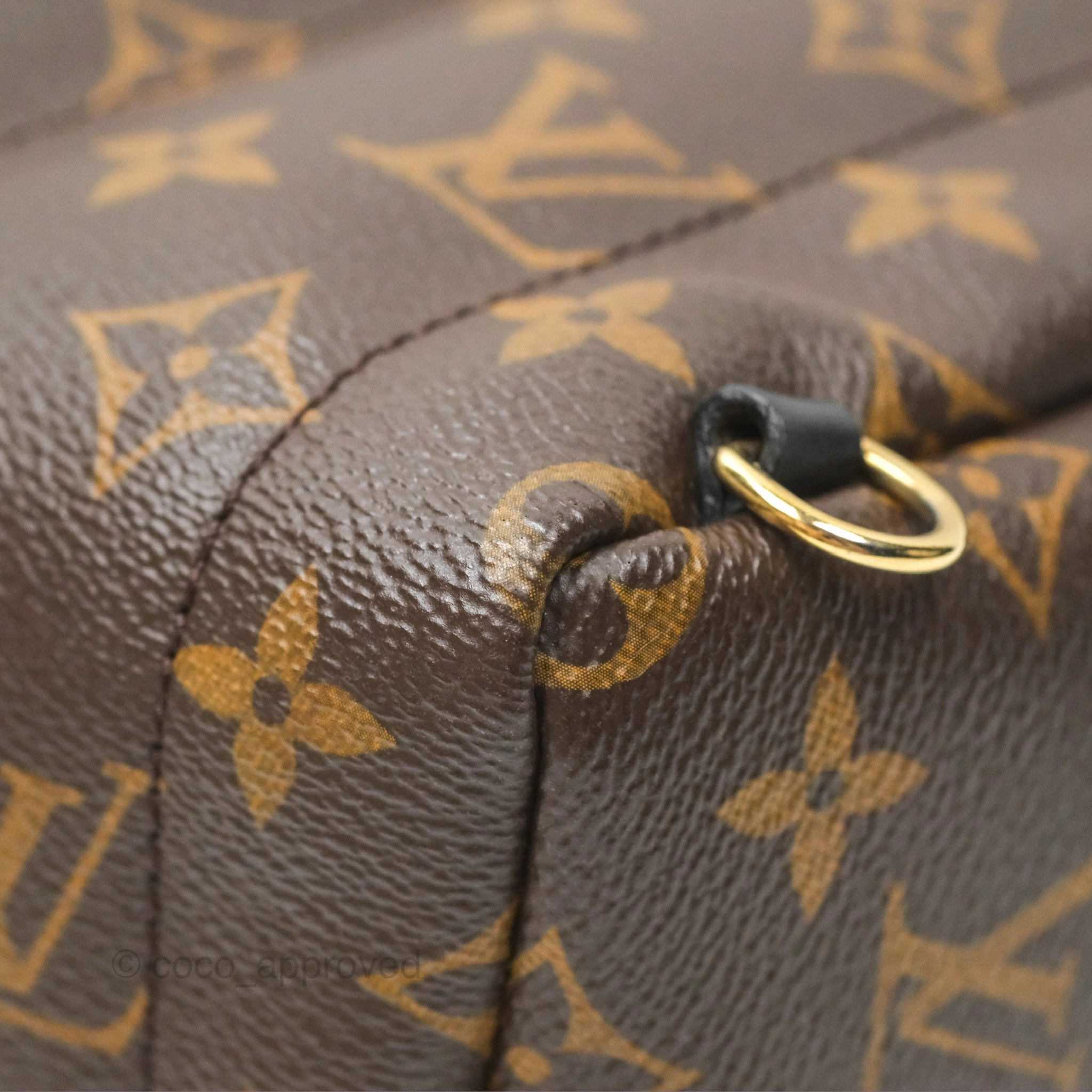 Louis Vuitton Mini Palm Springs Backpack Monogram Canvas
