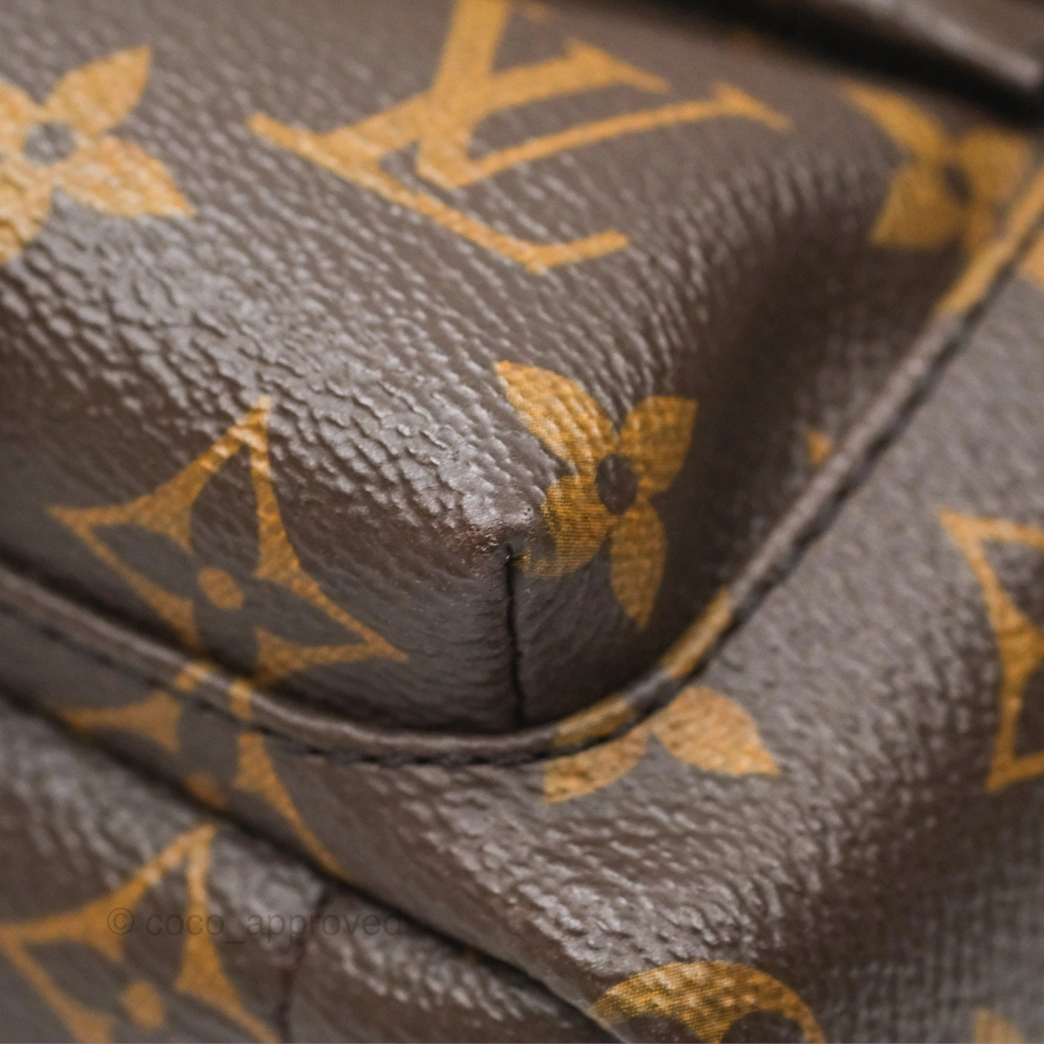 Louis Vuitton Mini Palm Springs Backpack Monogram Canvas