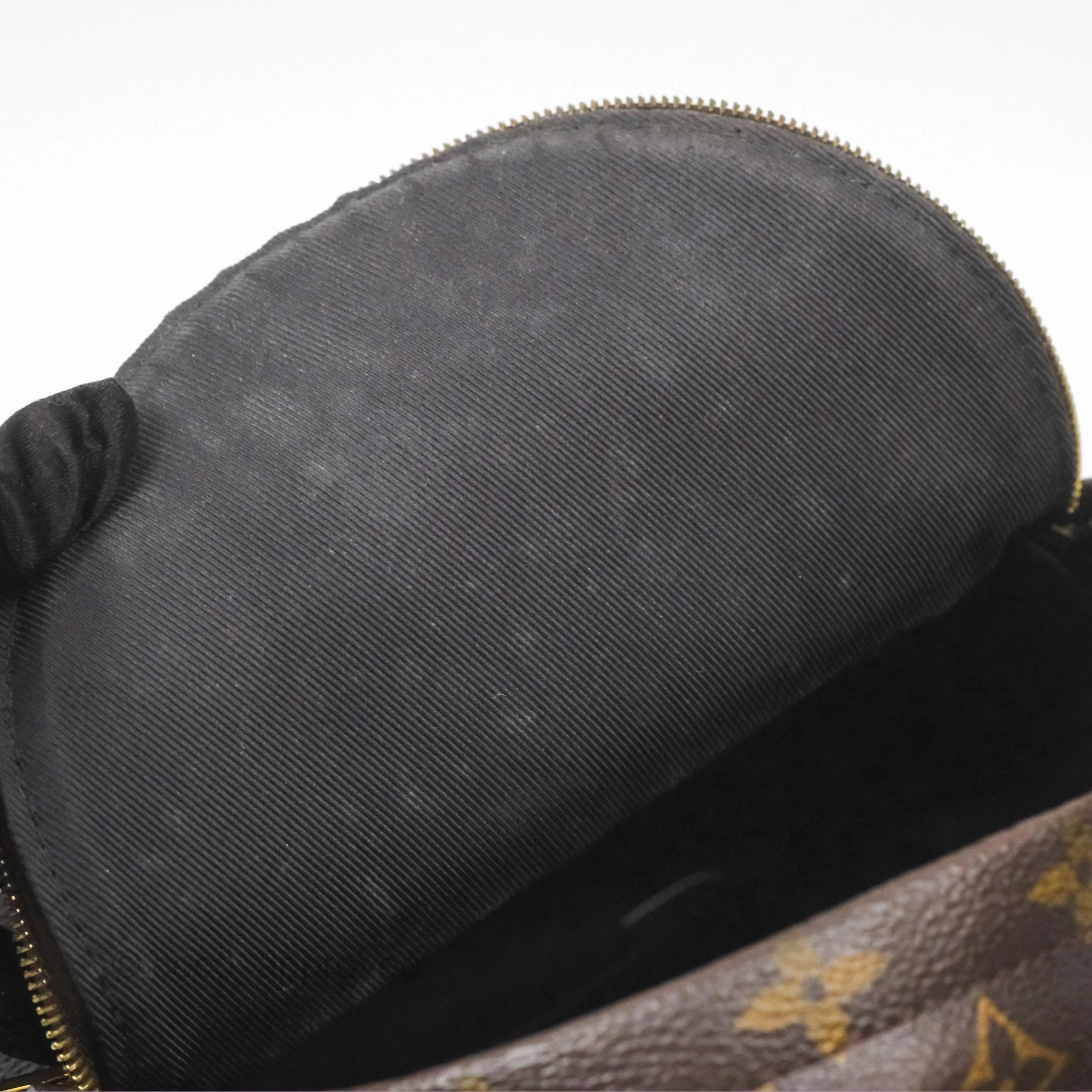 Louis Vuitton Mini Palm Springs Backpack Monogram Canvas