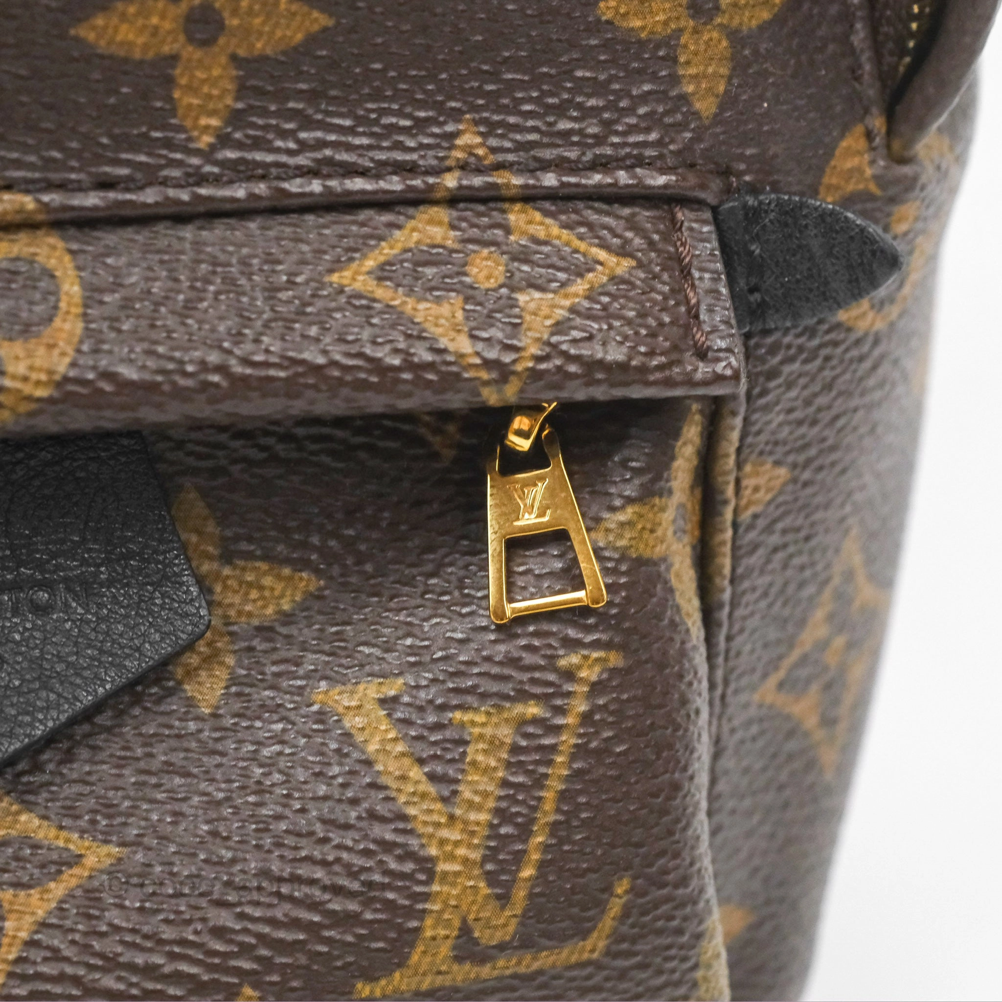 Louis Vuitton Mini Palm Springs Backpack Monogram Canvas