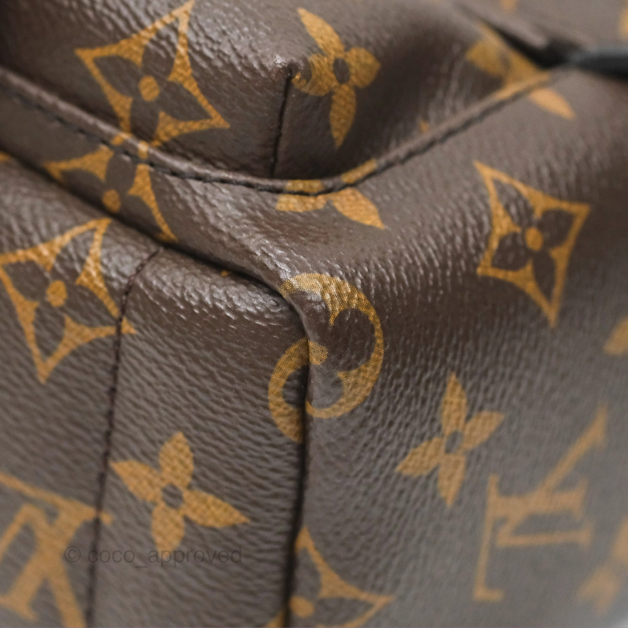 Louis Vuitton Mini Palm Springs Backpack Monogram Canvas