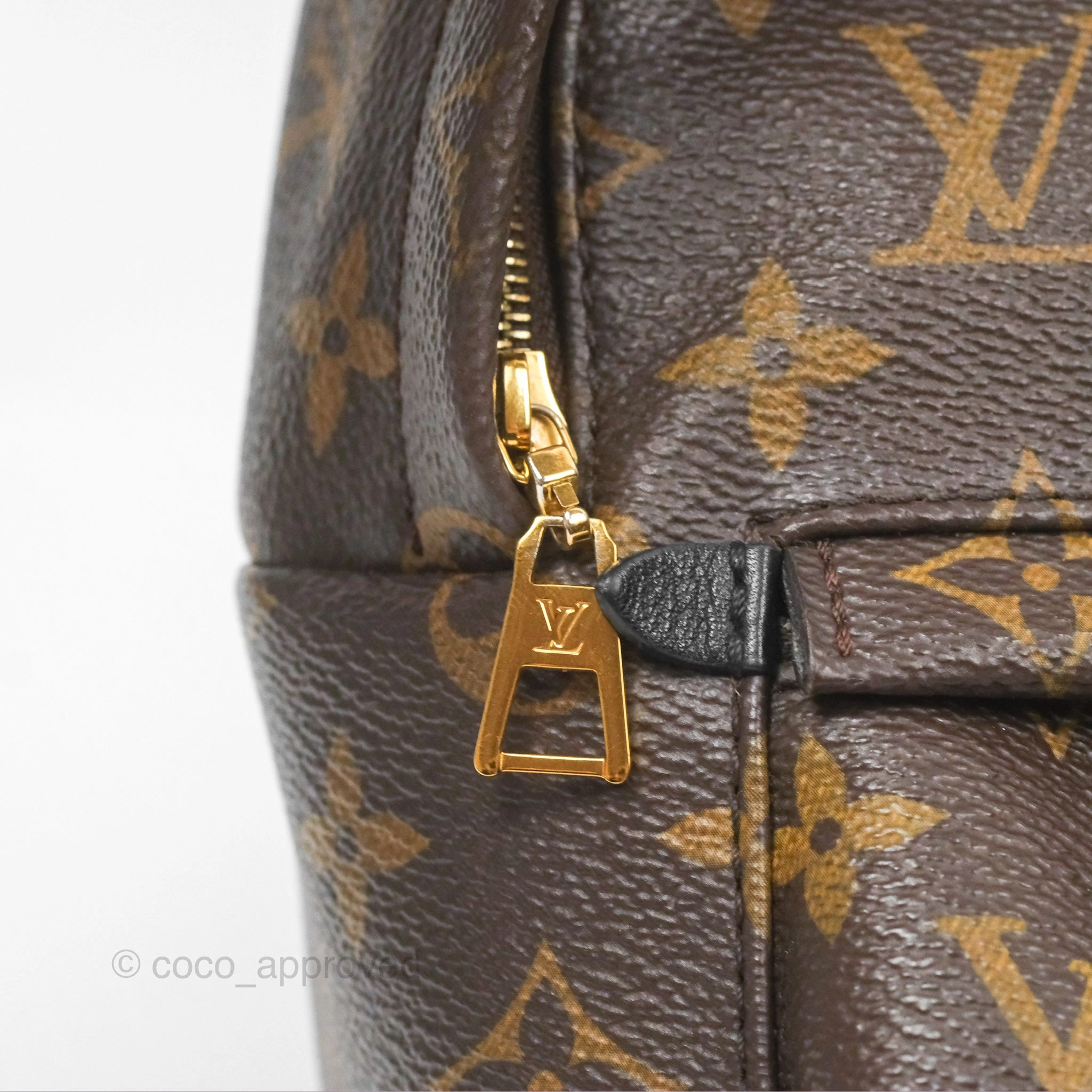 Louis Vuitton Mini Palm Springs Backpack Monogram Canvas