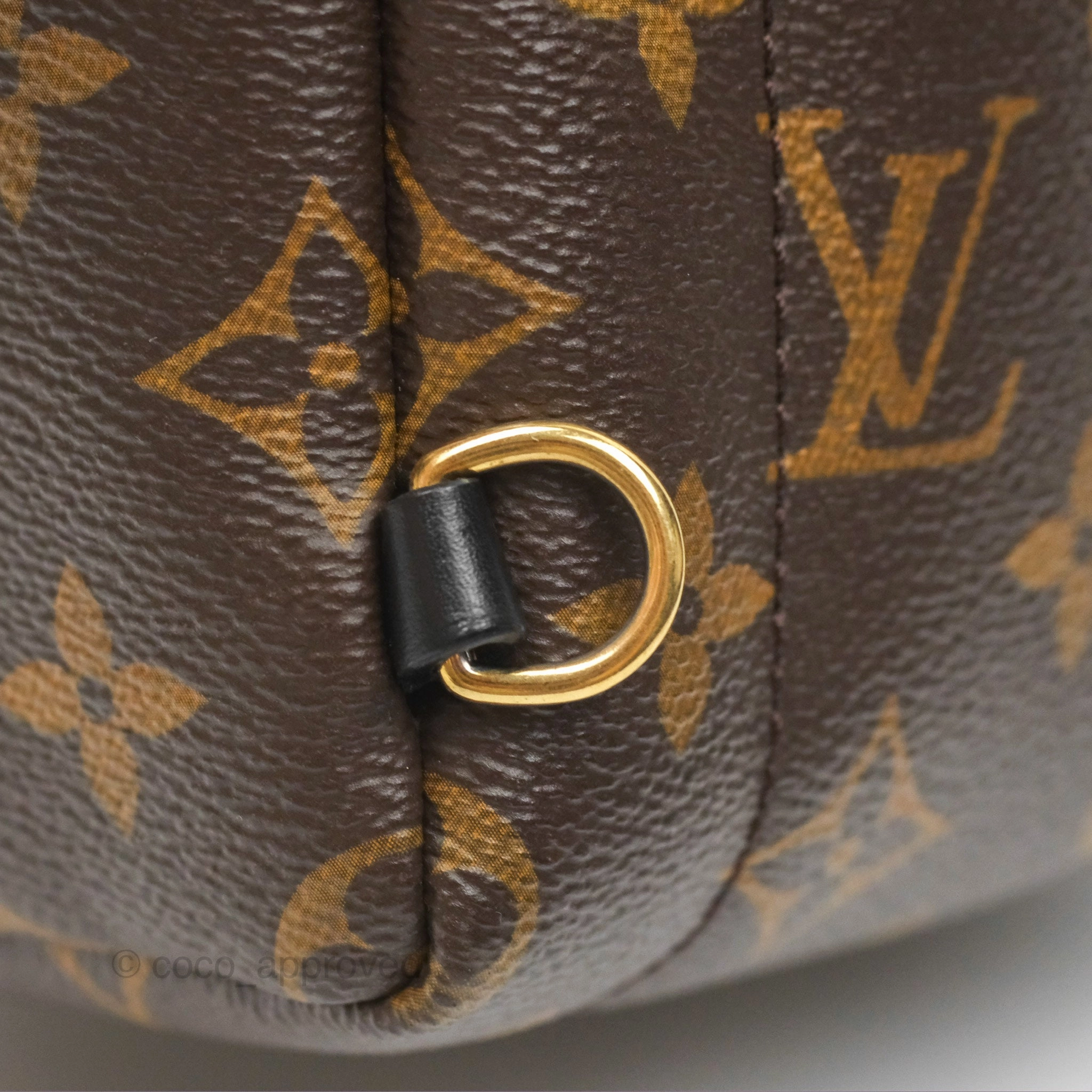 Louis Vuitton Mini Palm Springs Backpack Monogram Canvas