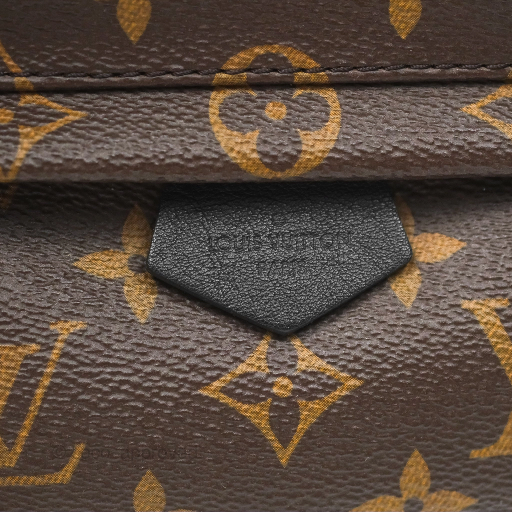 Louis Vuitton Mini Palm Springs Backpack Monogram Canvas